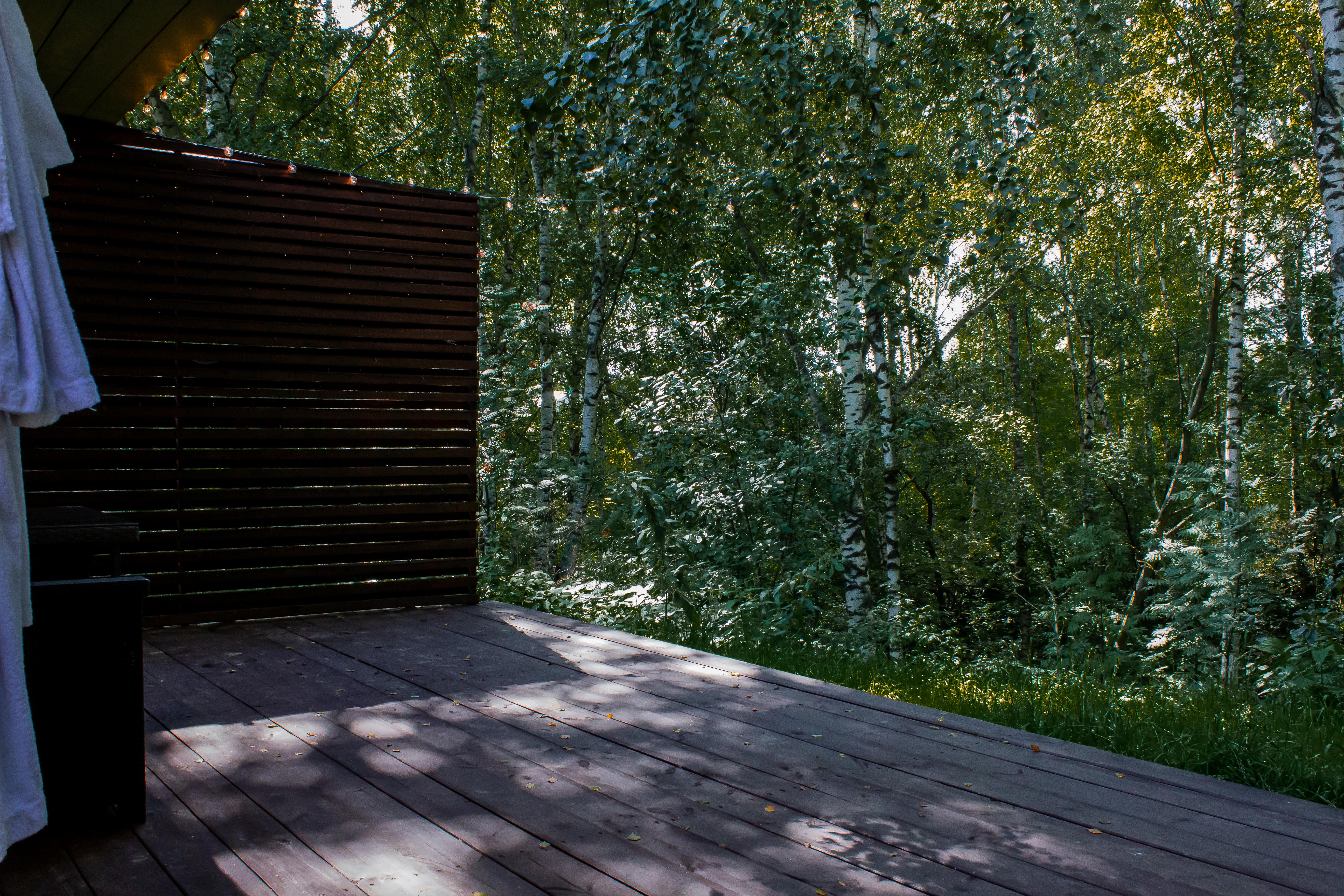 Дом с видом на лес