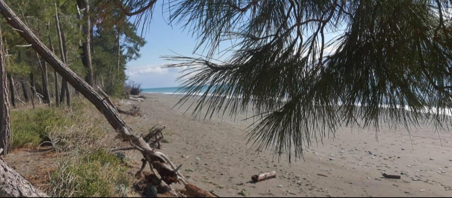 Дом для отпуска