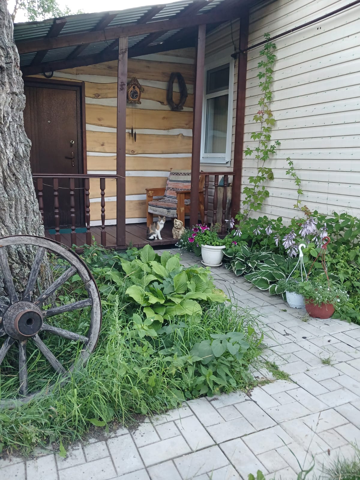 Бюджетный двухместный номер с 2 отдельными кроватями