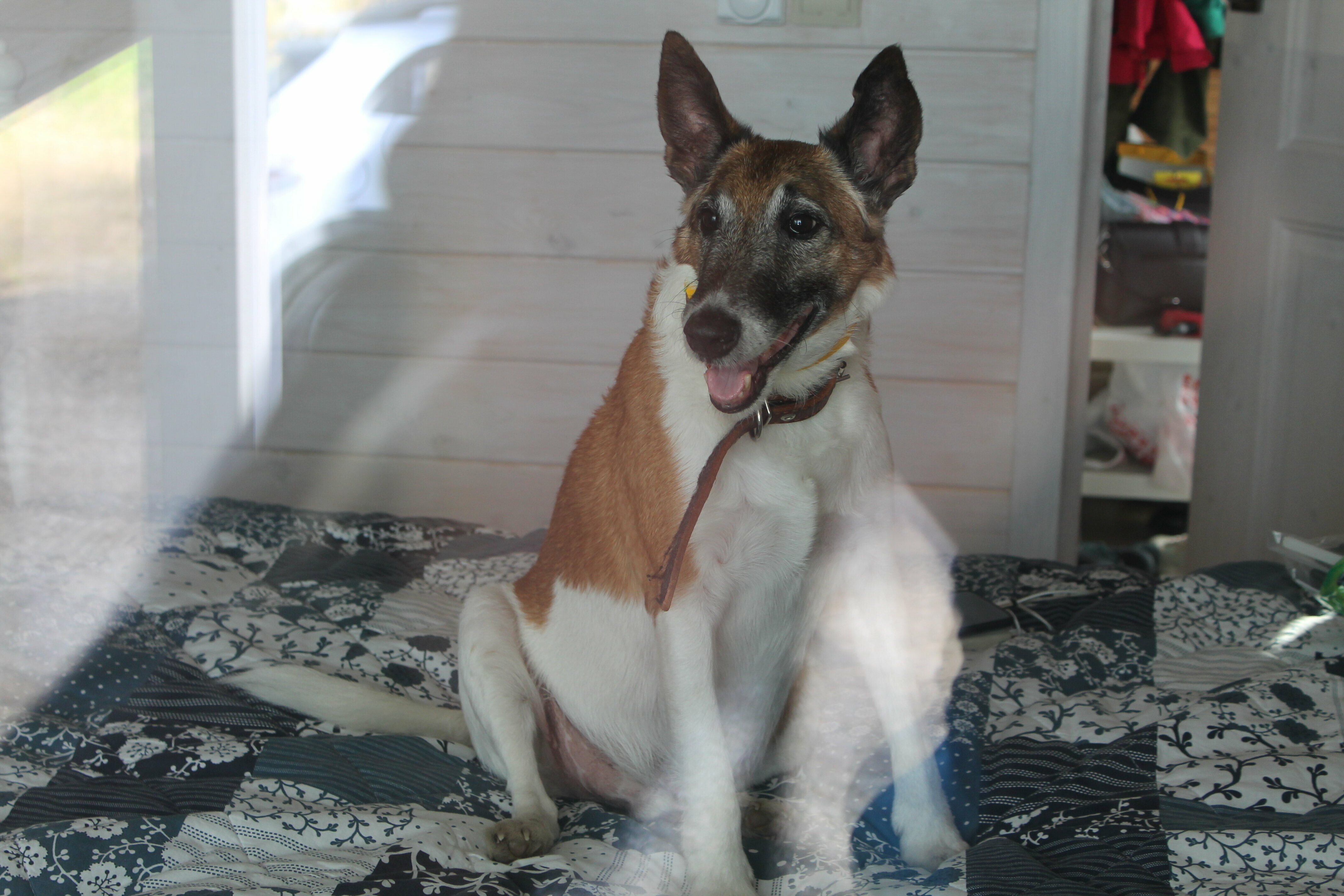 Нордикхаус Ü (6 дом)