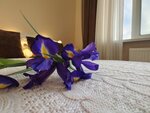 Стандартный трехместный номер в Центральная