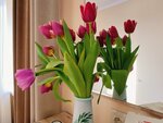 4х местный номер Студия в Центральная