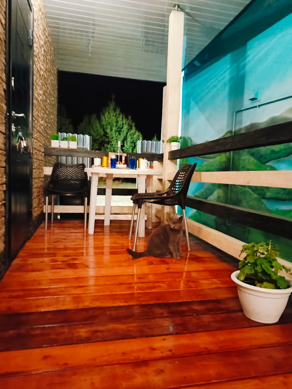 Двухместный с 1 кроватью или 2 отдельными кроватями и душем