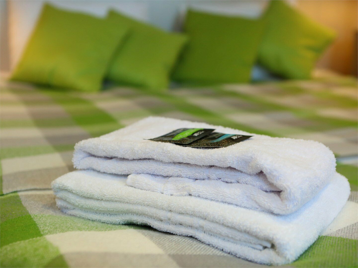 1 категория (Четырех-местный номер с отдельным входом, мансарда)