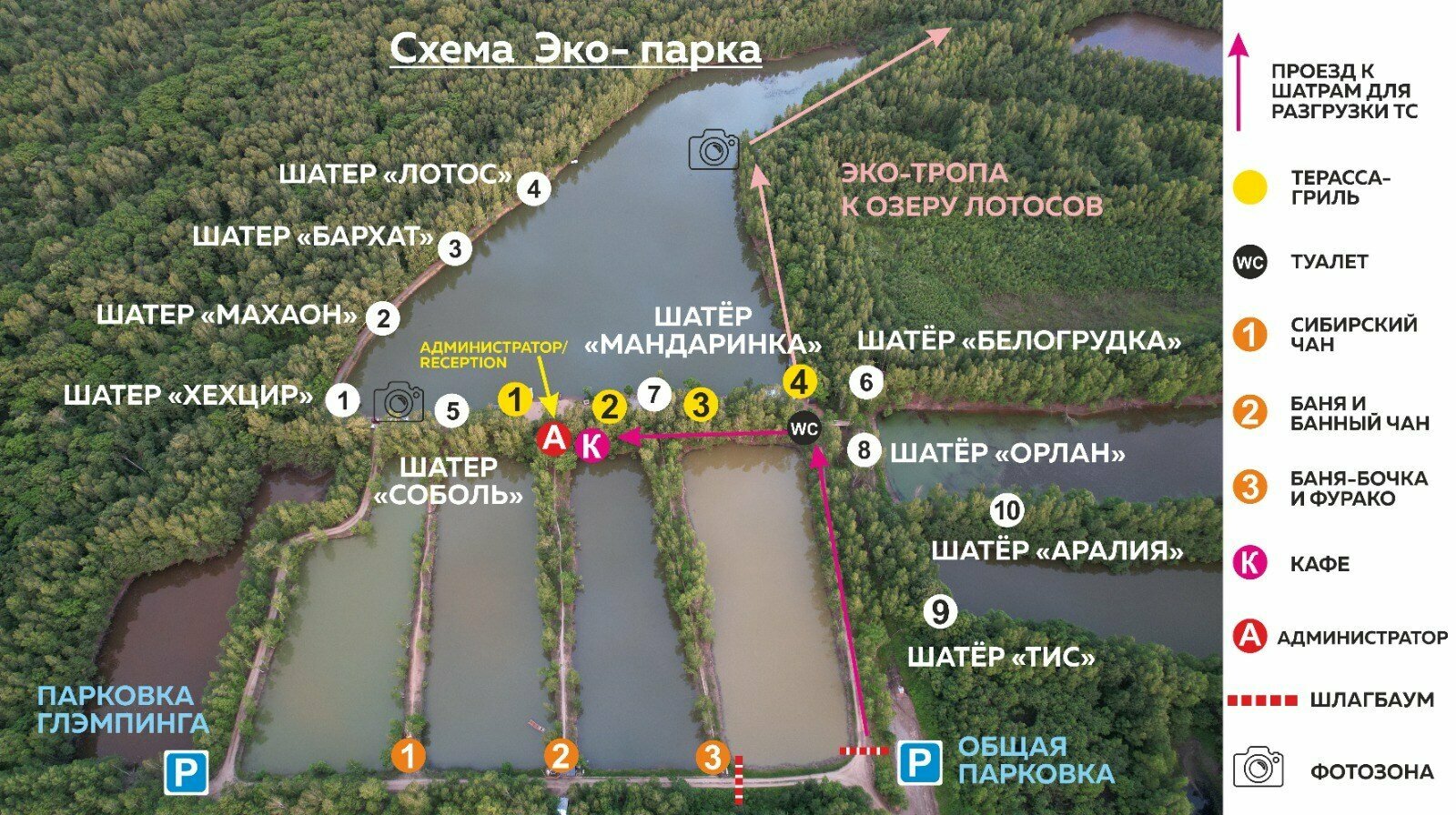 Шатер Белогрудка