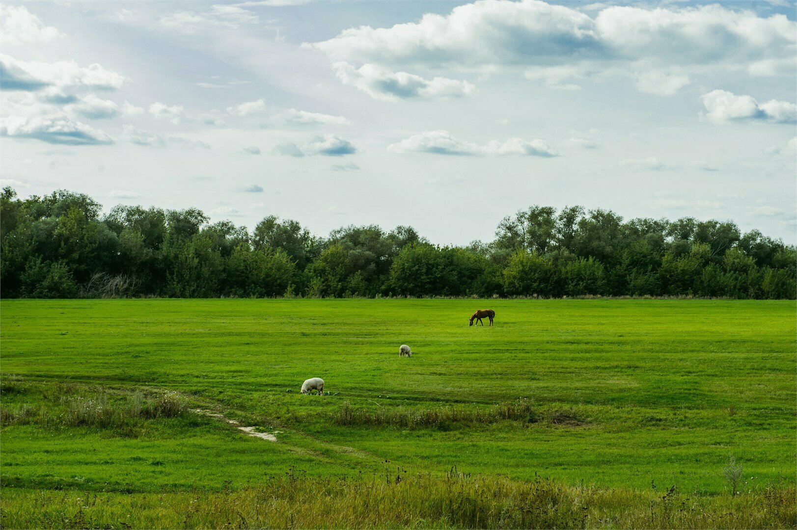 Номер с панорамными окнами в дворовой избе "Берёзки"