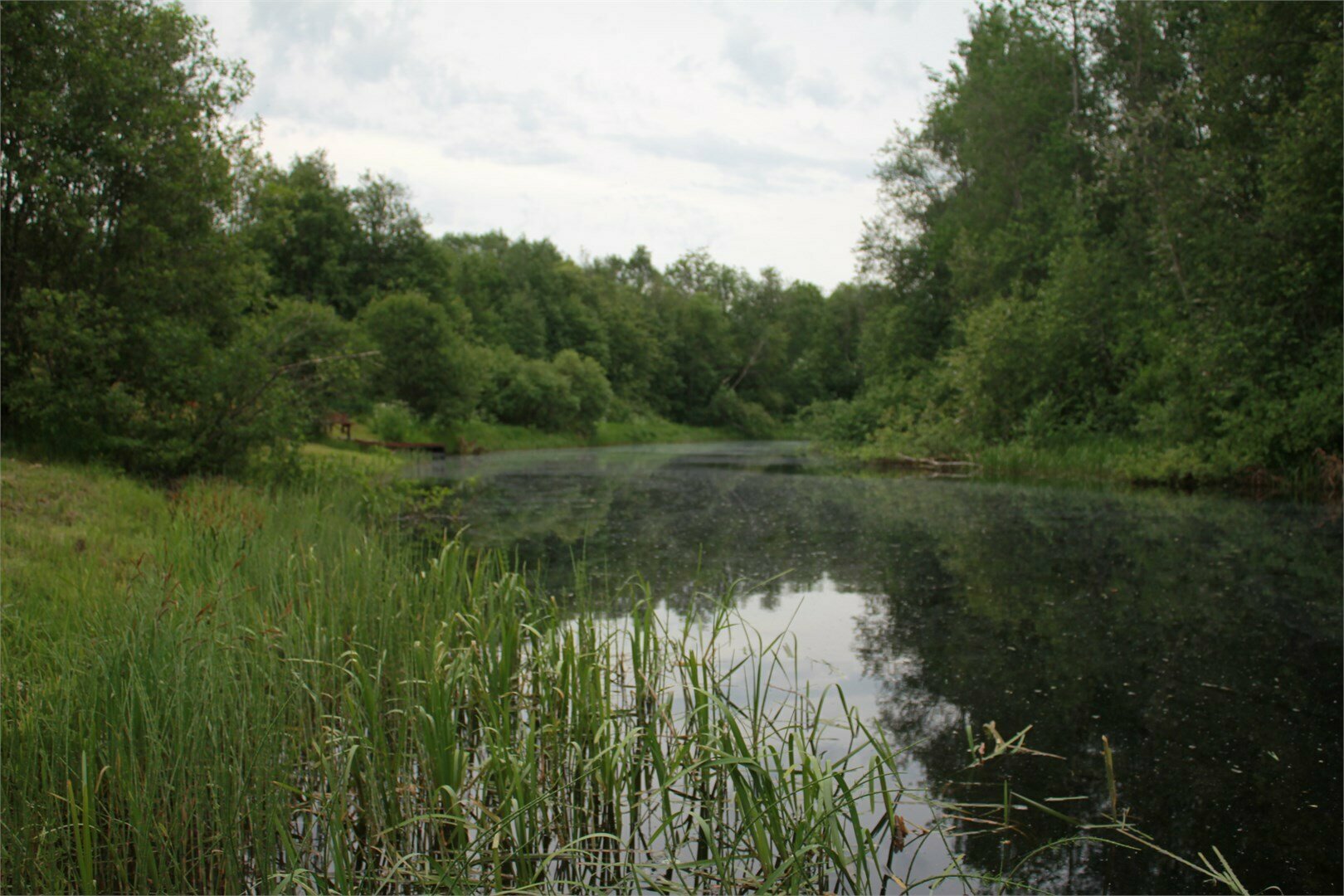 3 дом "Паула"