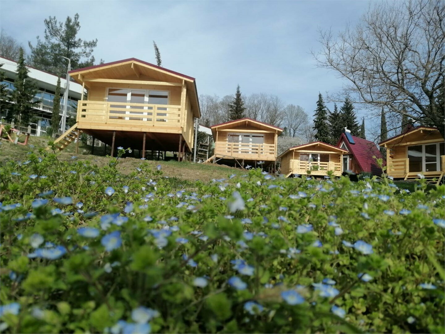 Классический четырехместный номер