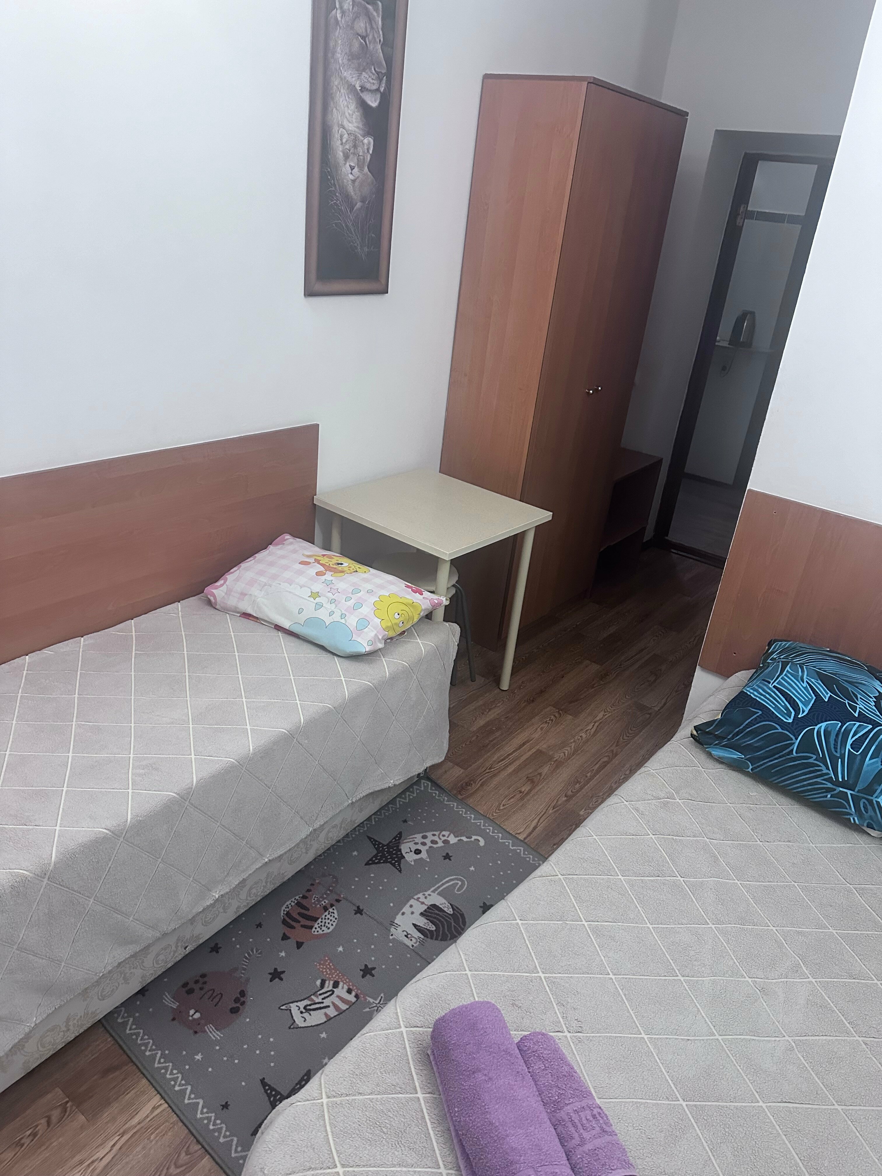 Двухместный номер с 1 кроватью или 2 отдельными кроватями