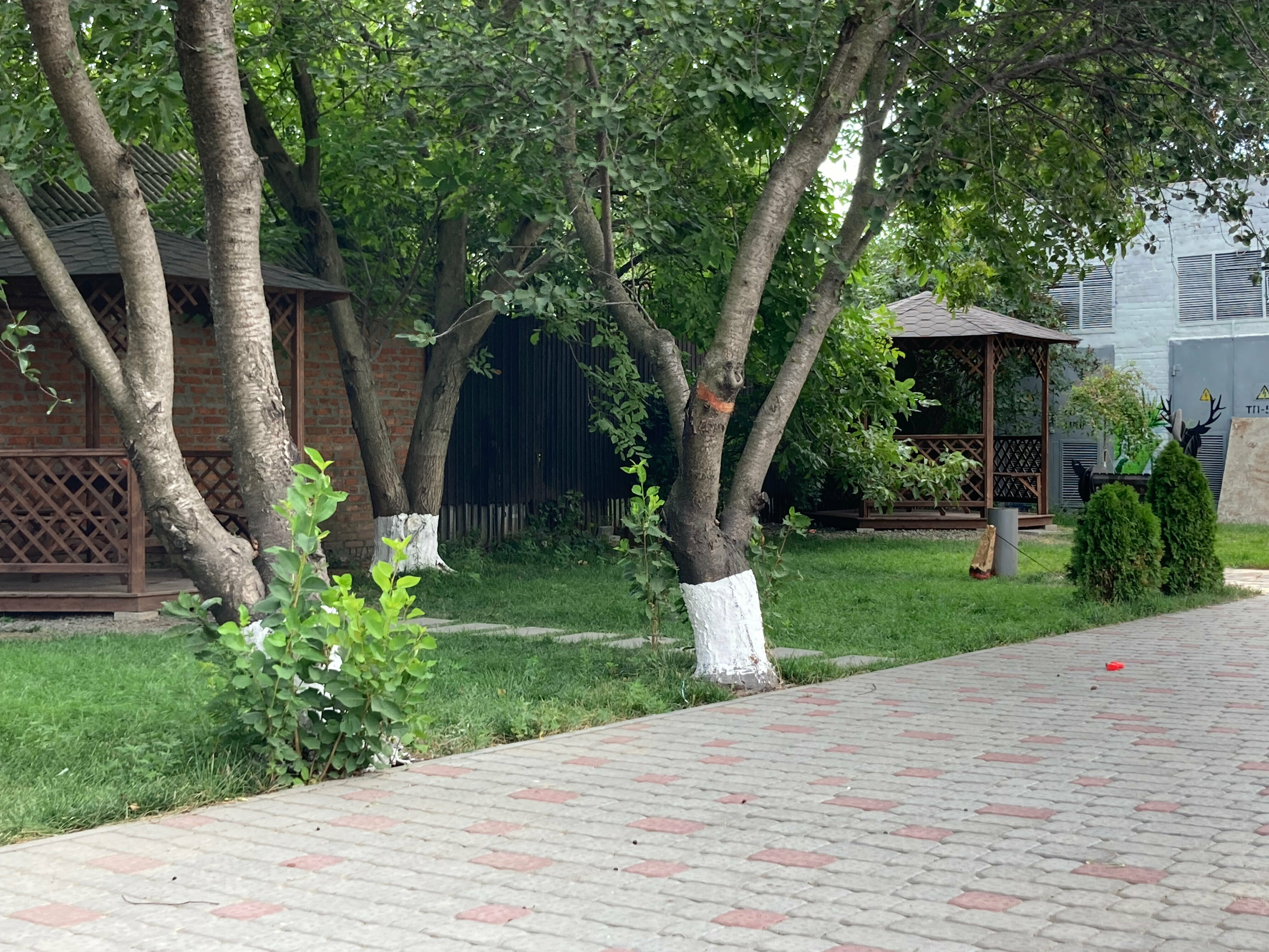 Семейный люкс с бассейном и зоной барбекю