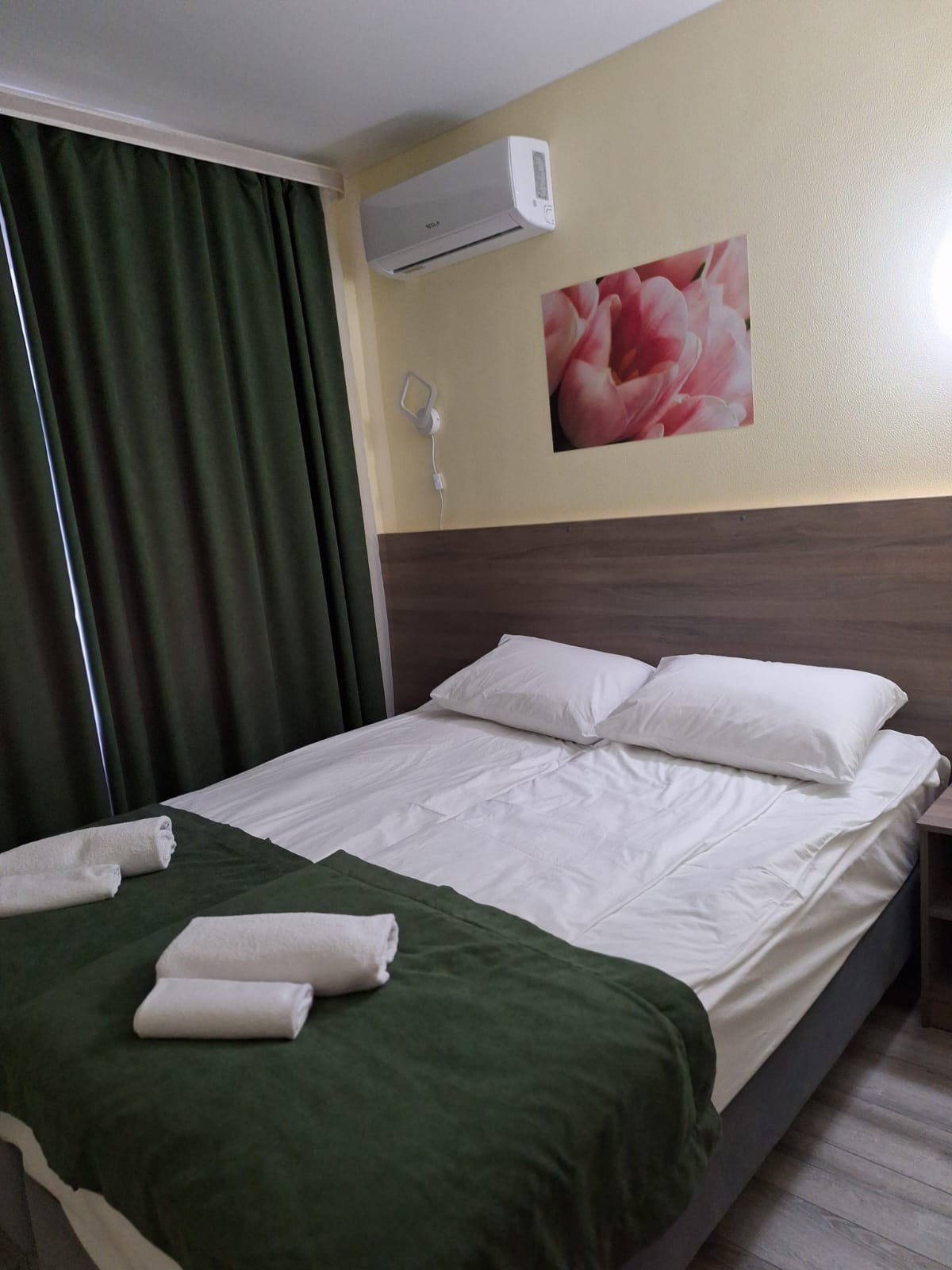 Стандартный двухместный номер с 1 кроватью или 2 отдельными кроватями