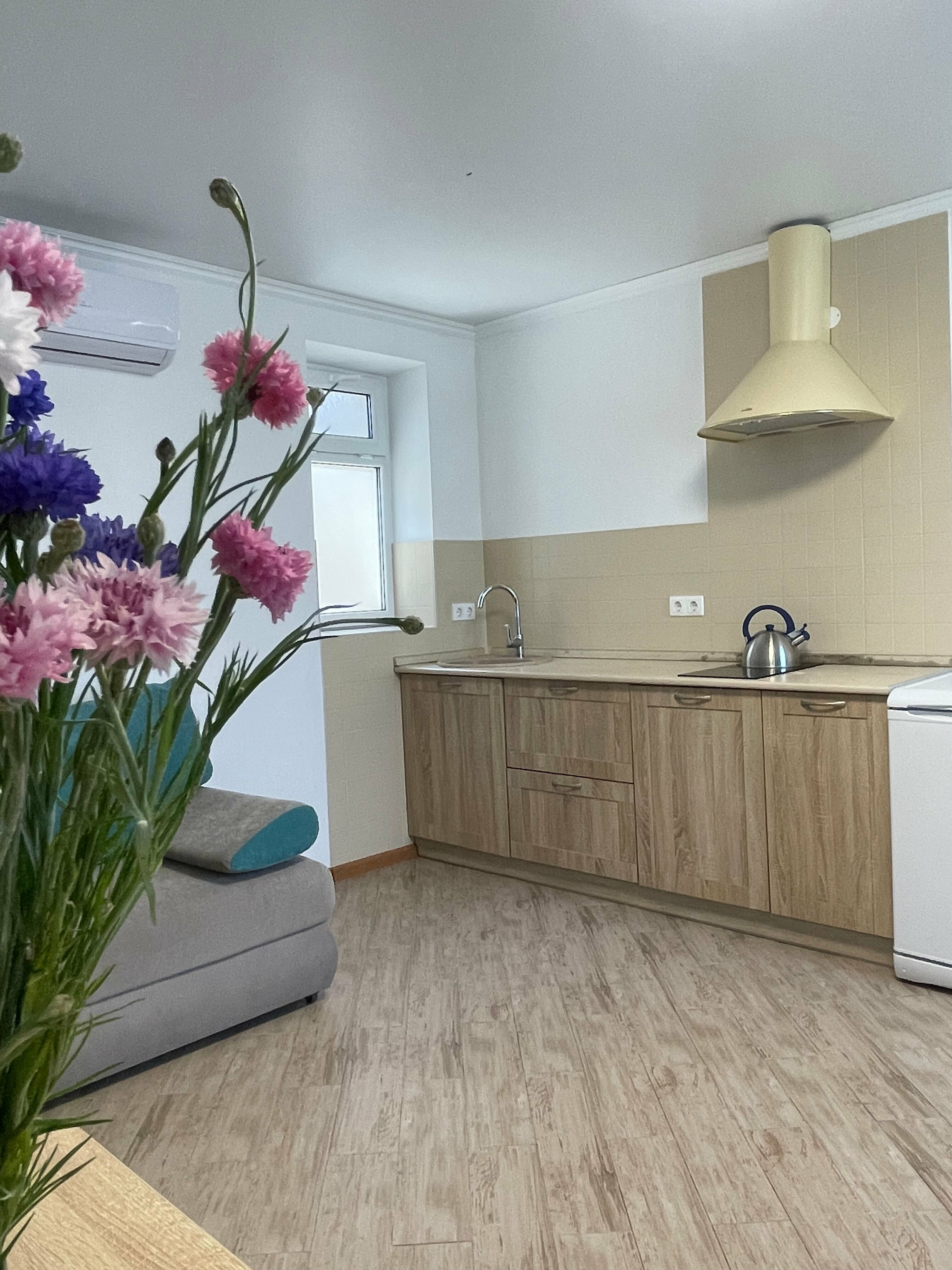 Апартаменты с 1 спальней