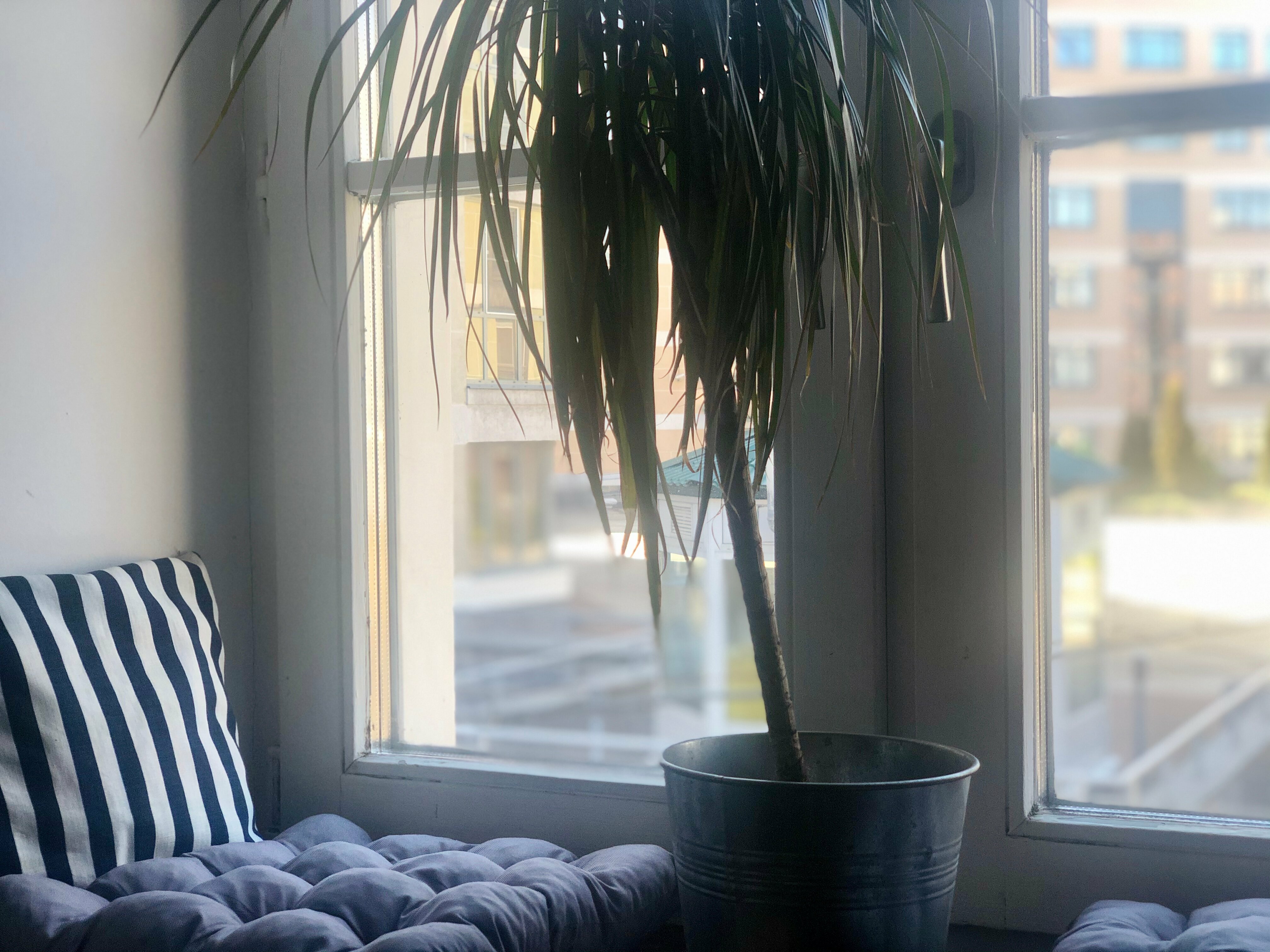 Четырехместный номер с общей ванной комнатой