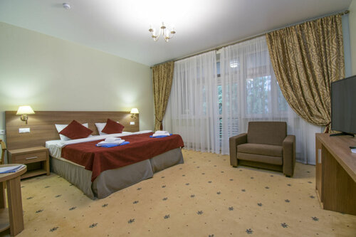 Двухместный номер с 1 кроватью или 2 отдельными кроватями и дополнительной кроватью в Парк-отель Морская Даль