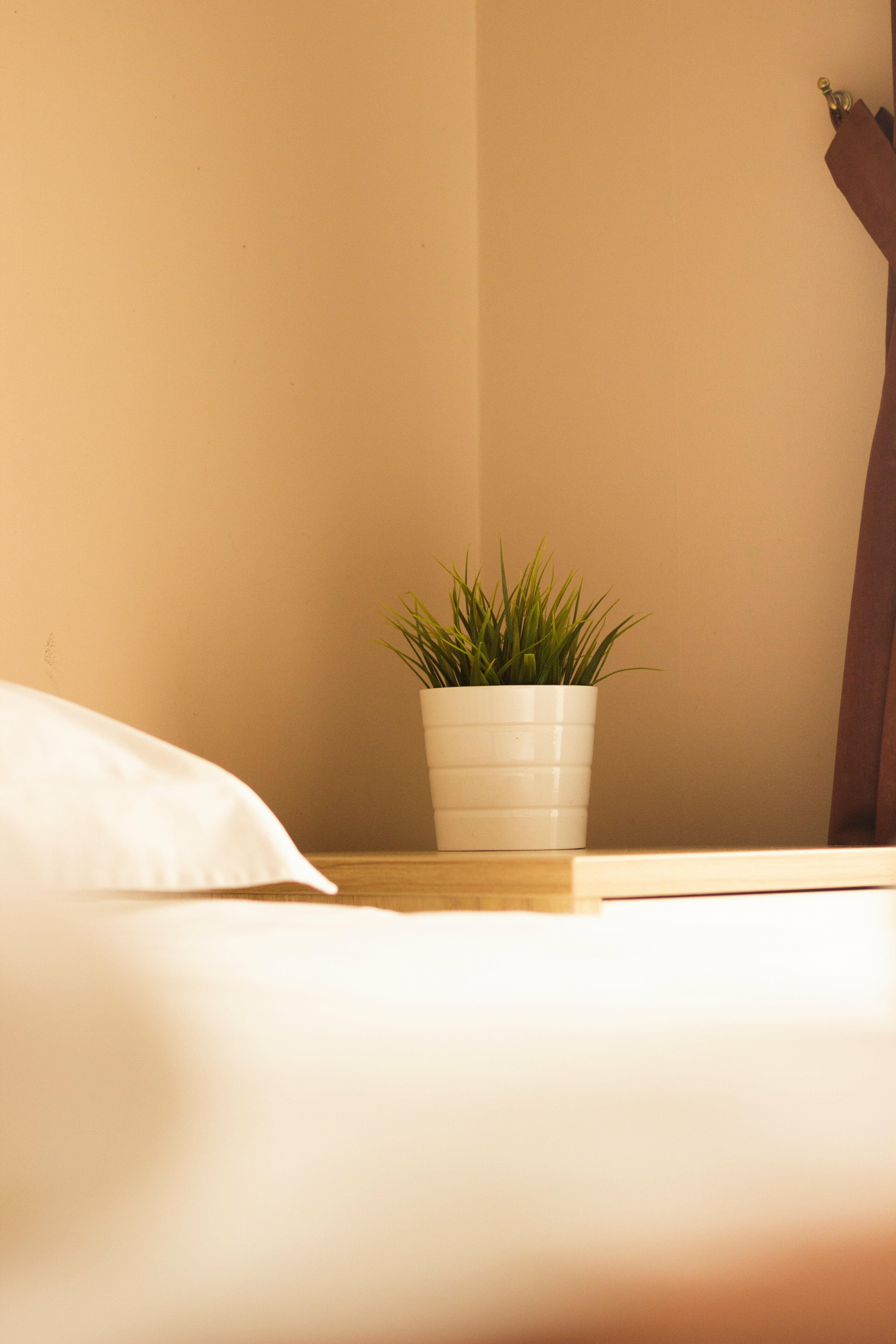 Стандарт TWIN (Двухместный )