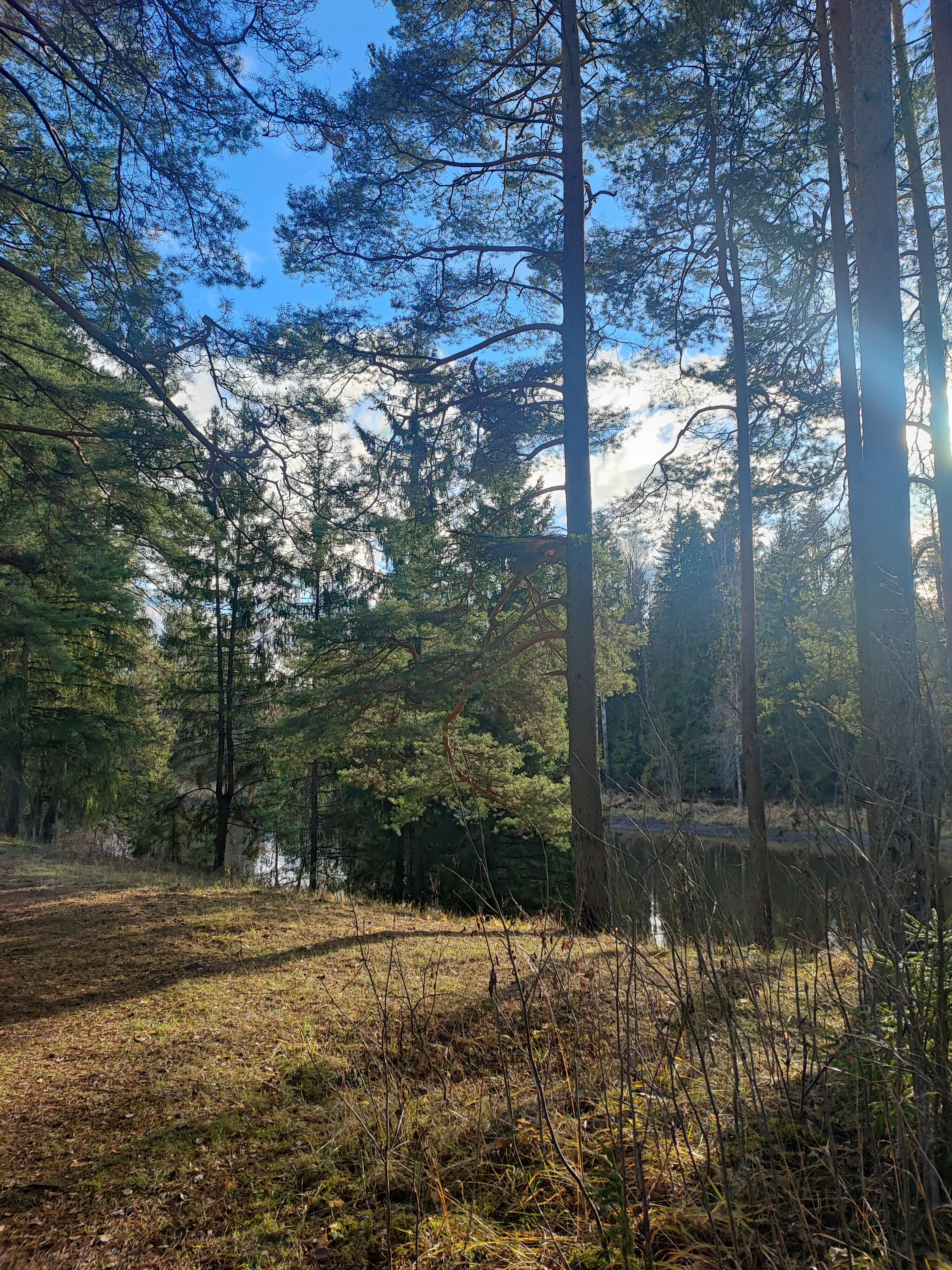 Деревянный коттедж (половина 4П), 2 этажа на 3 человека