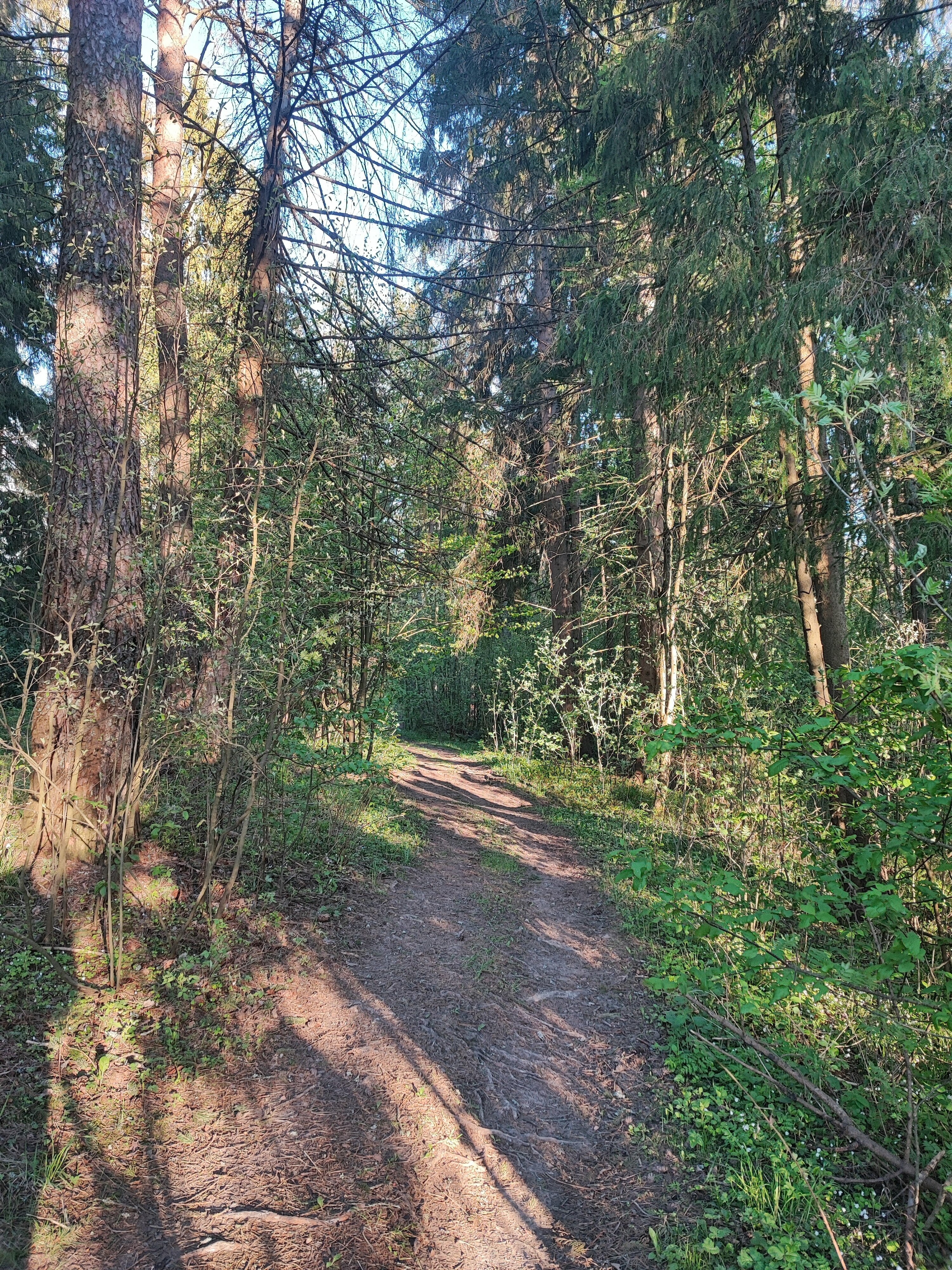 Деревянный коттедж (половина 4Л), 2 этажа на 3 человека
