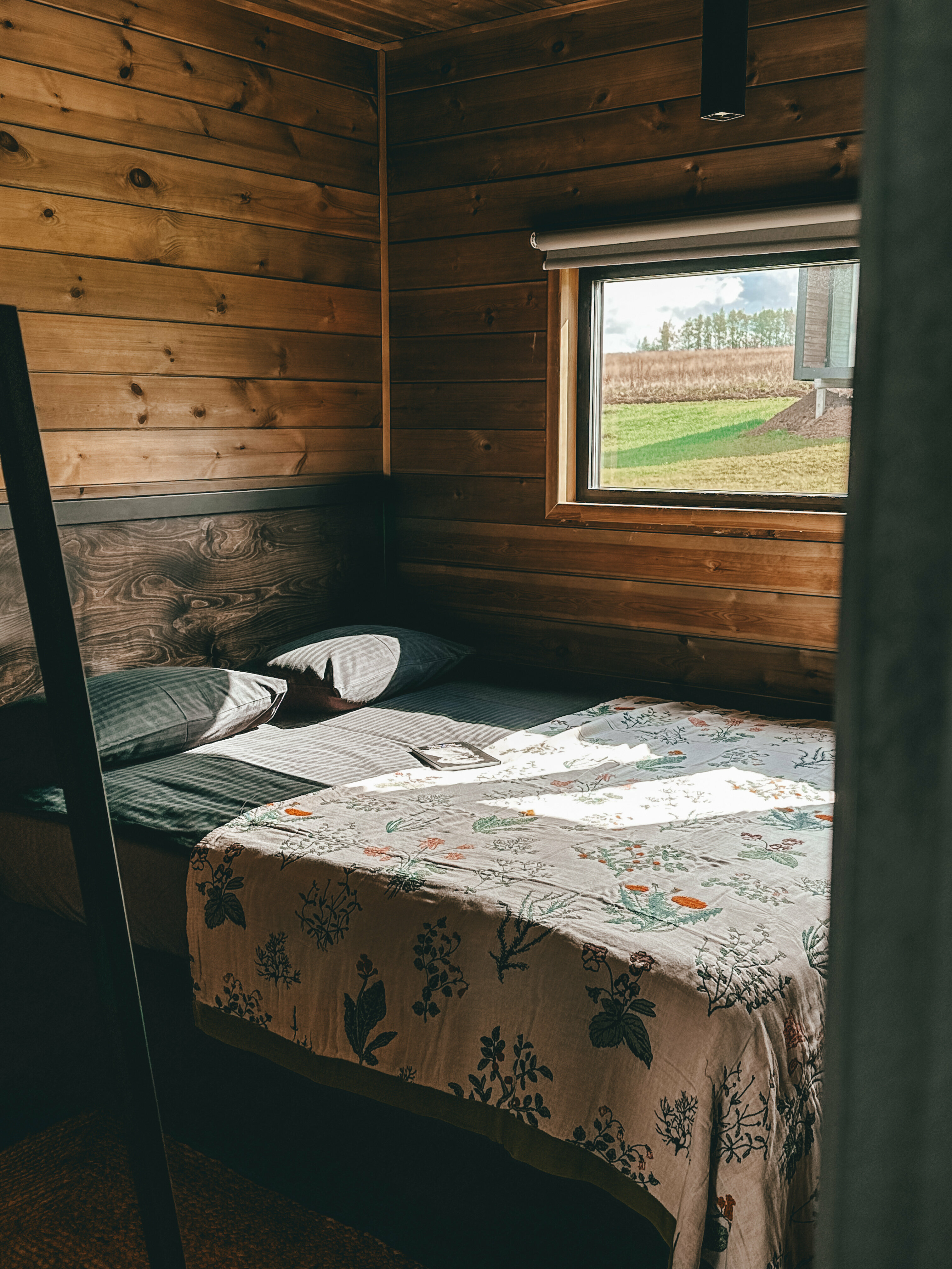 Луговая сказка