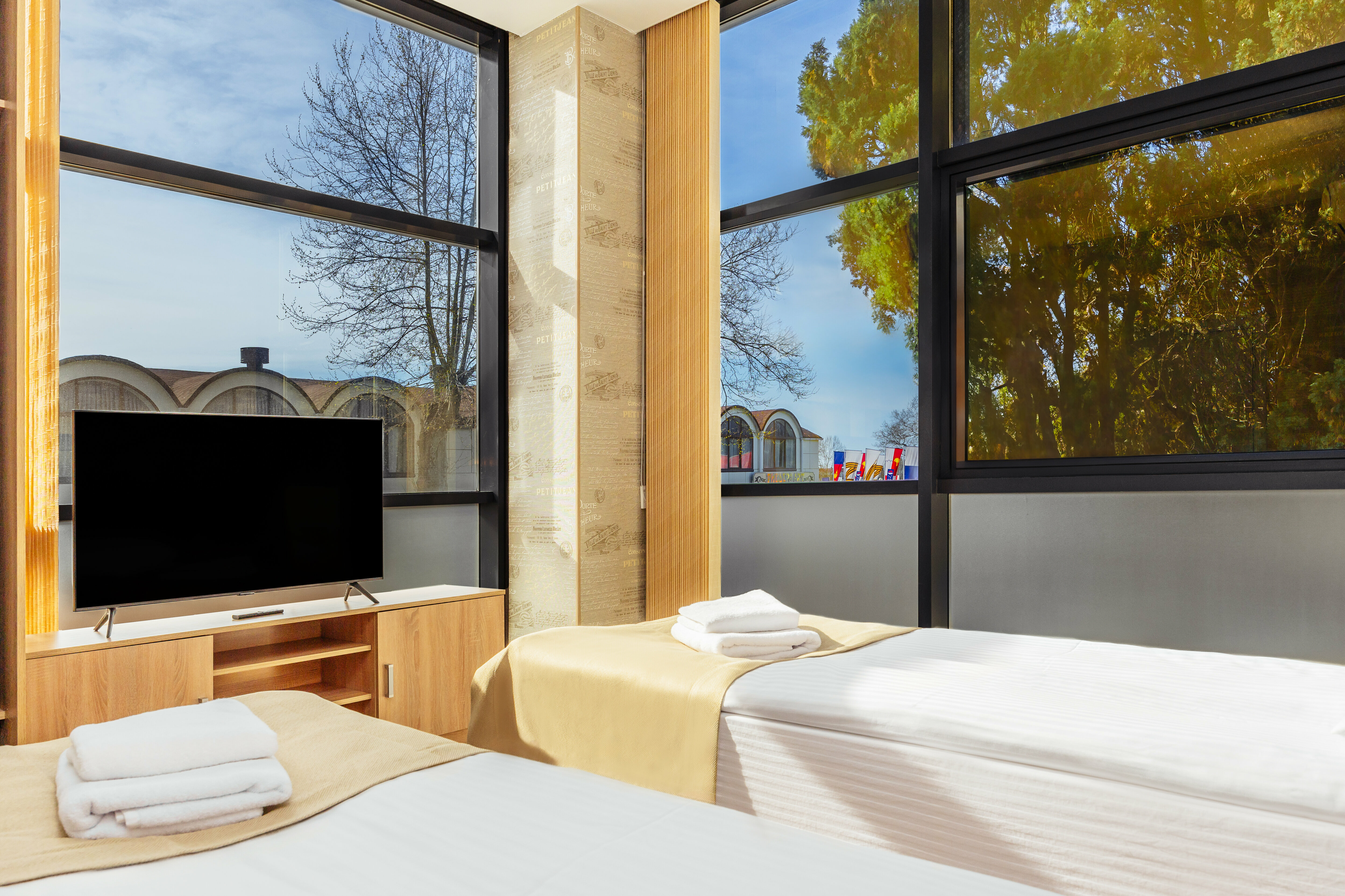 Стандарт с двумя отдельными кроватями, вид на город