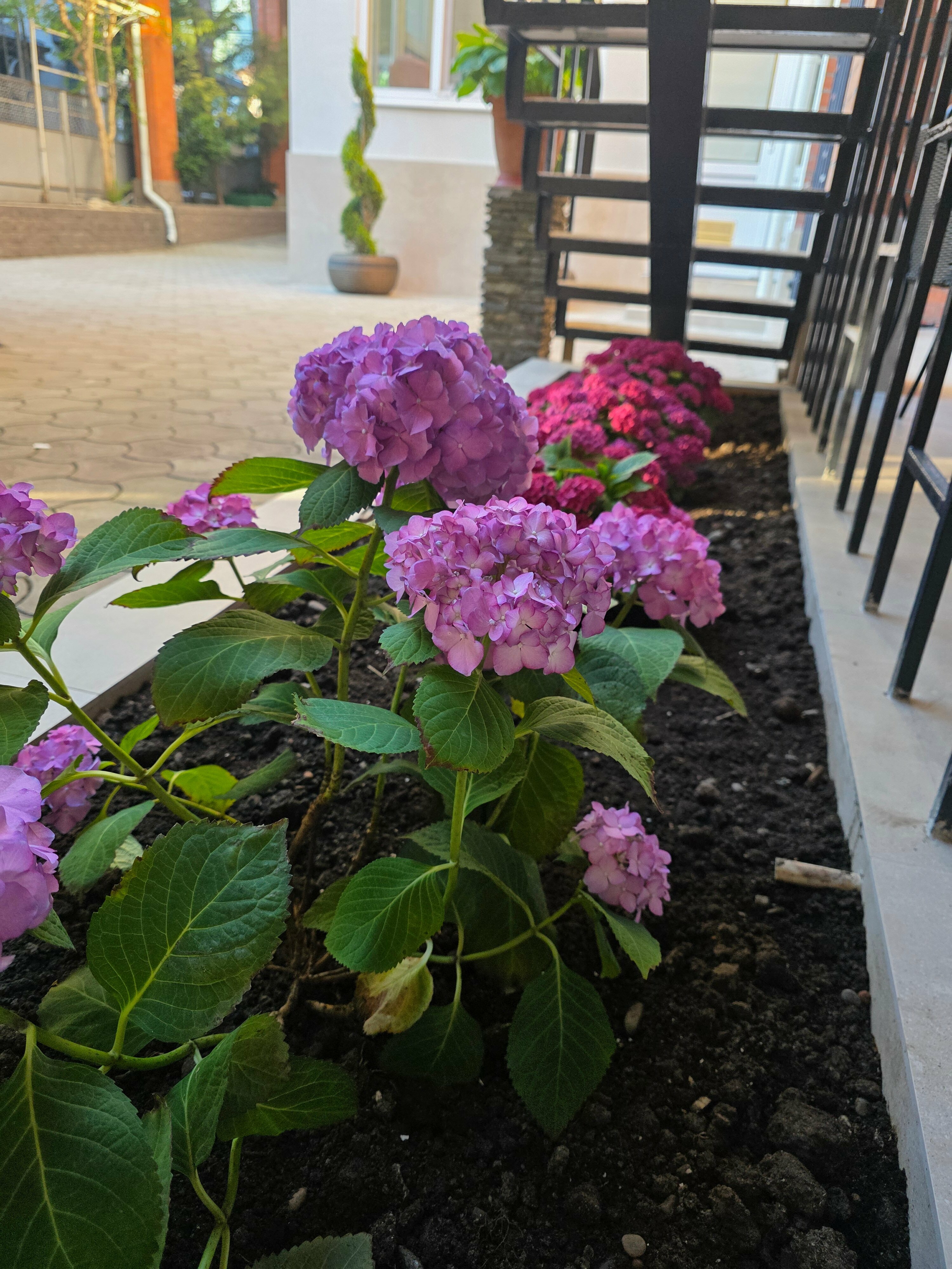 «КЛАССИК» ТРЕХМЕСТНЫЙ СТАНДАРТНЫЙ  НОМЕР С РАЗДЕЛЬНЫМИ  КРОВАТЯМИ, ОДНОМЕСТНЫМ  ДИВАНОМ