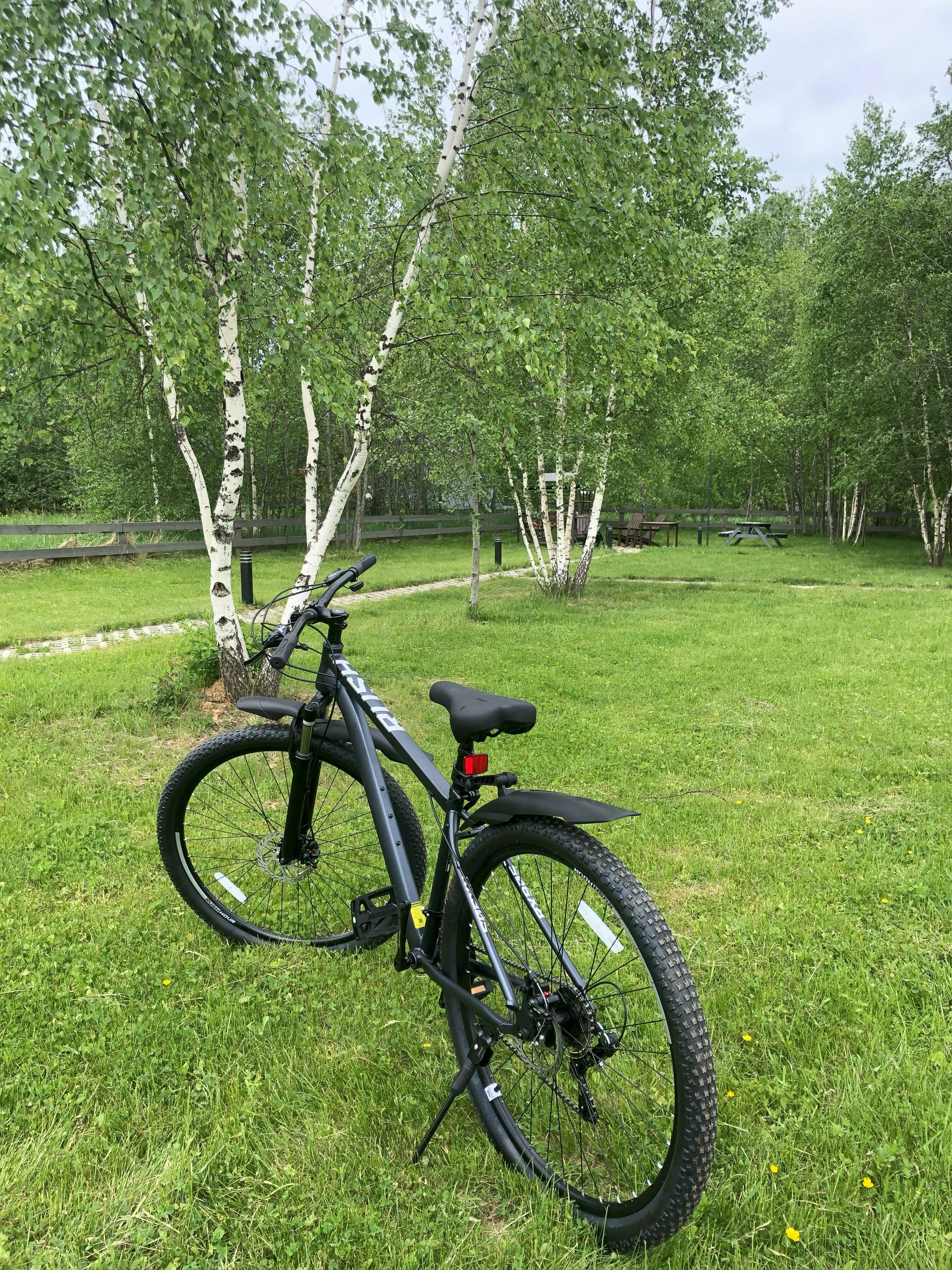 BarnHouse  18А "Закат"