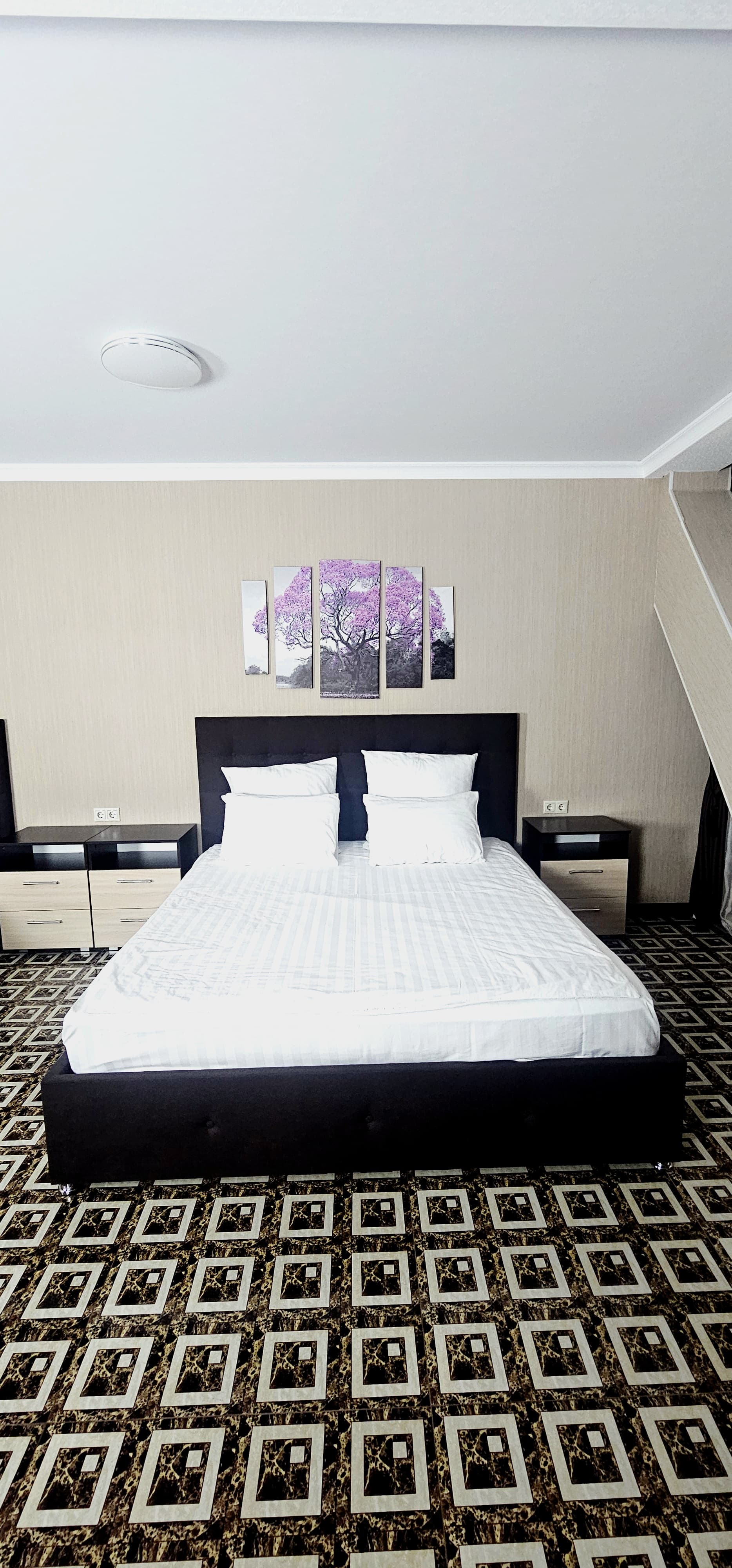 Двухместный номер Делюкс с 1 кроватью