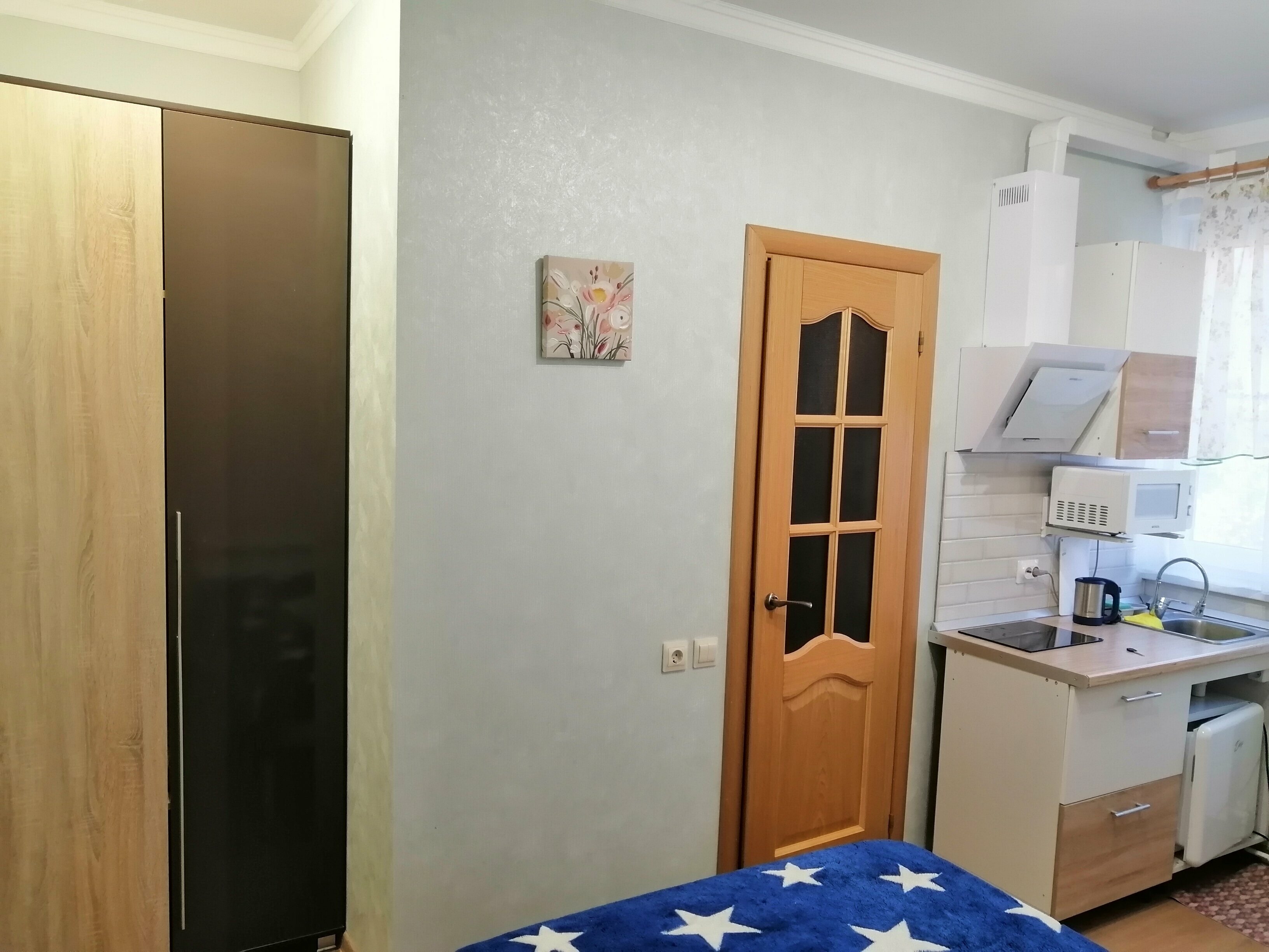 Студия с видом на сад 1+1