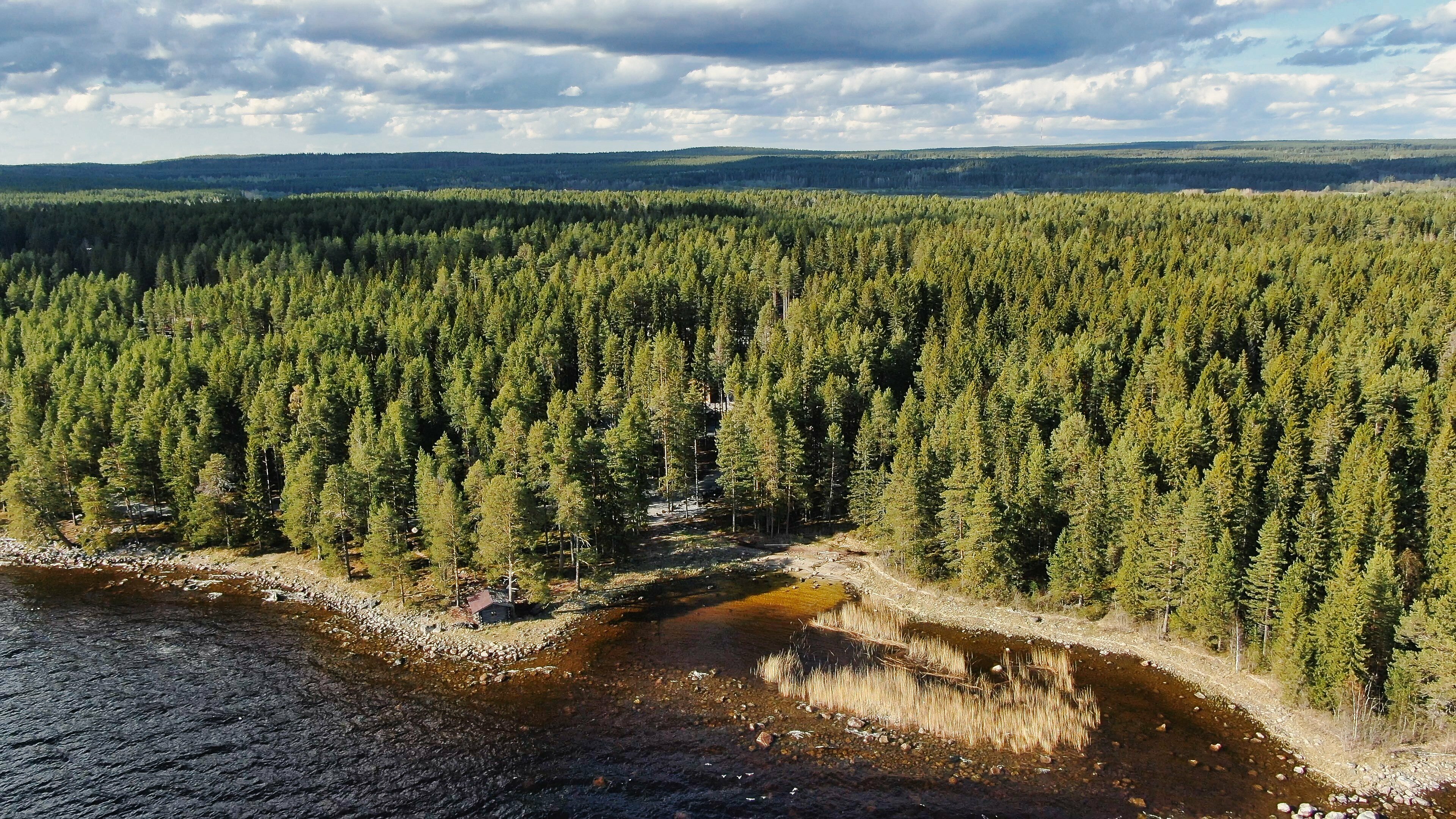 Трехместный номер с видом на озеро