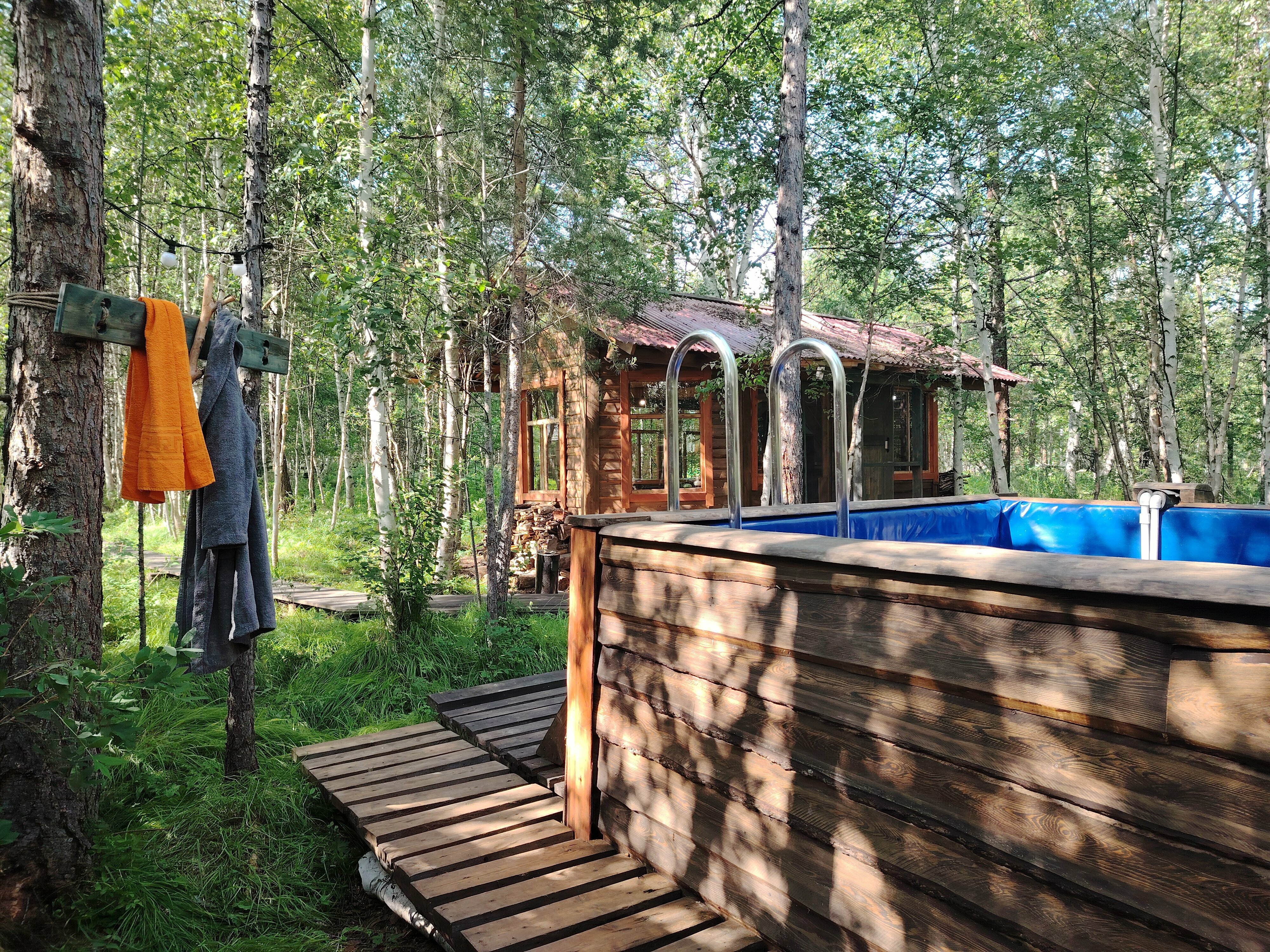 Коттедж с видом на лес