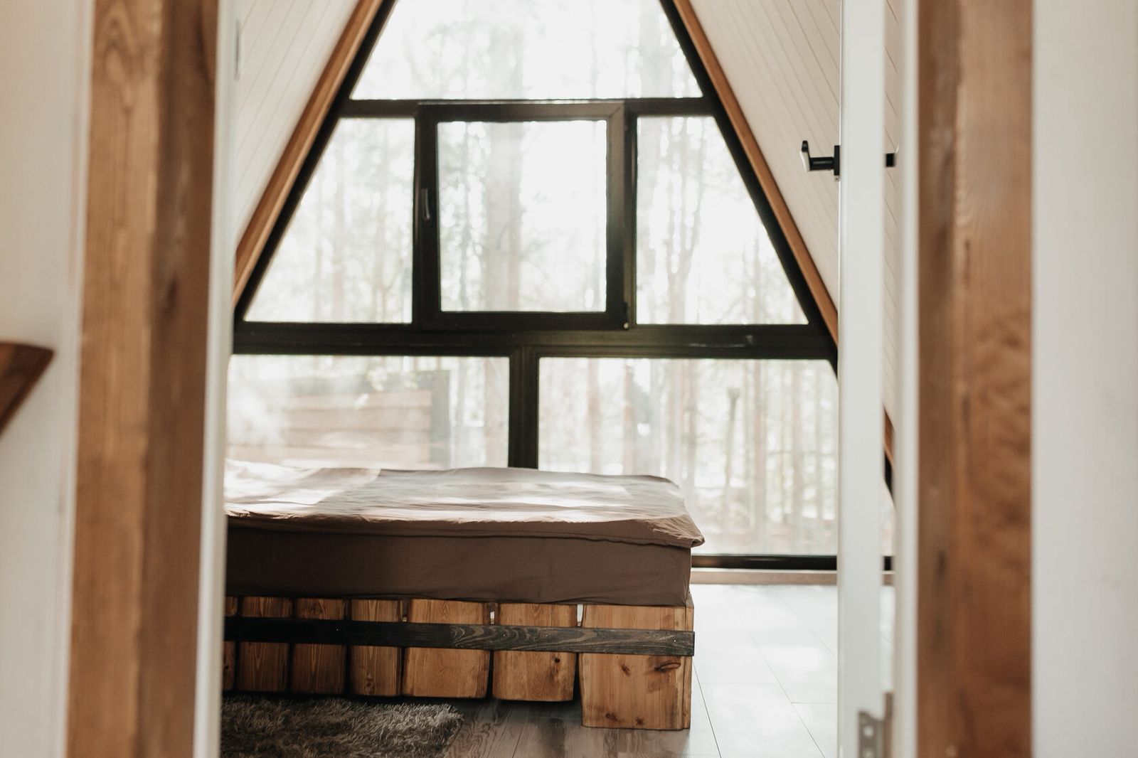 Дом с видом на лес