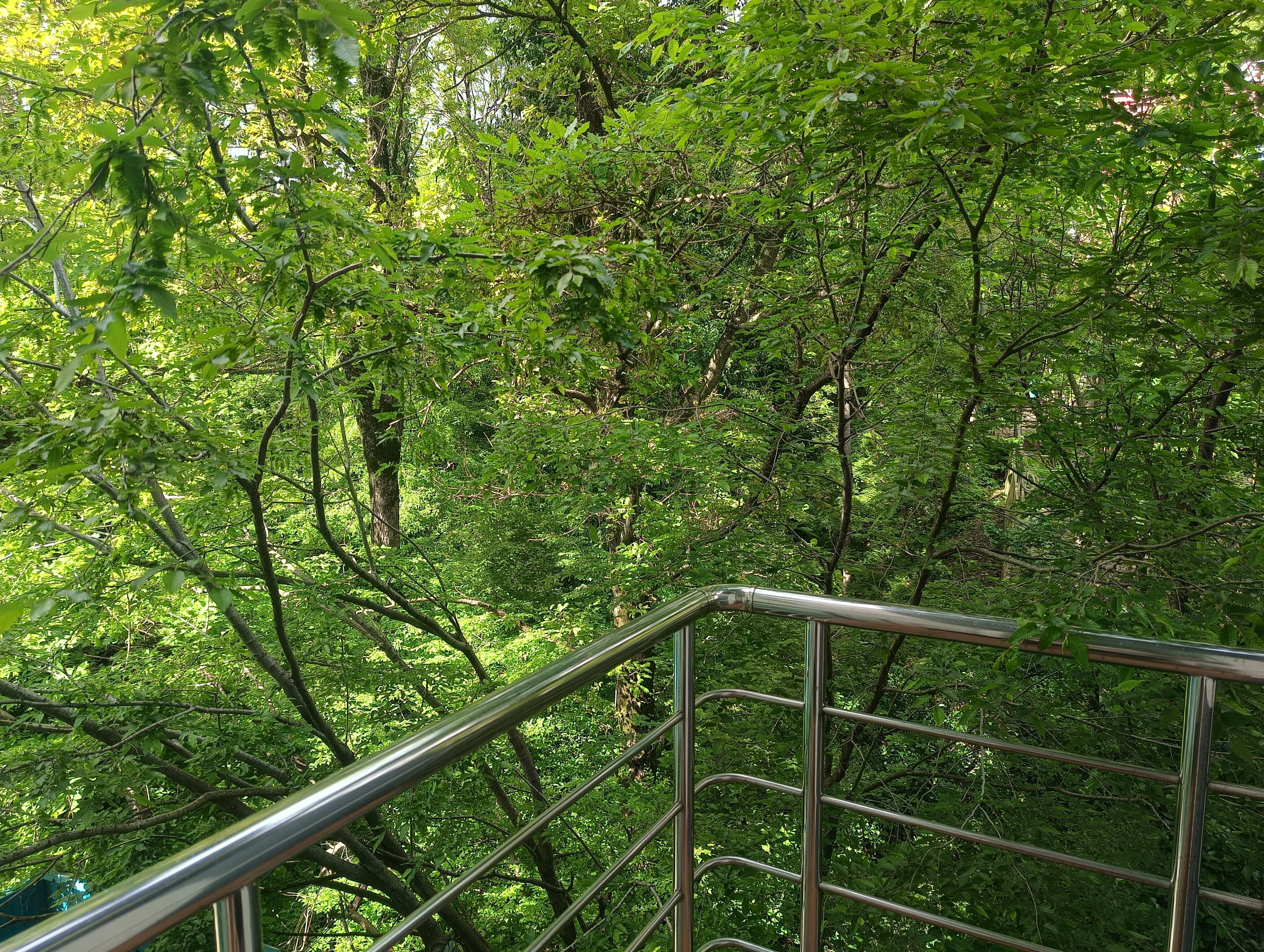 Трехместный номер-студия