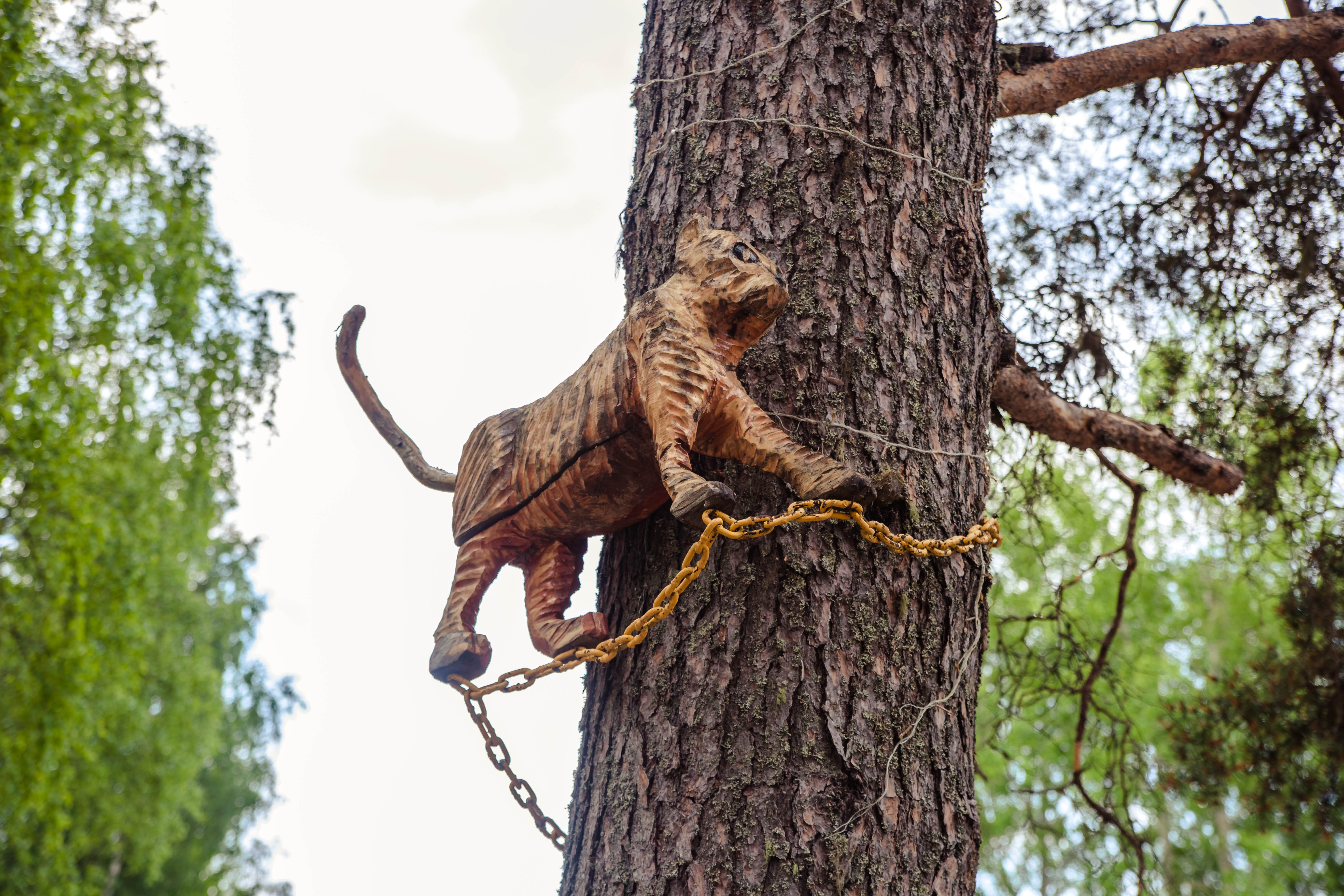 Двухместный номер с 1 кроватью и видом на парк