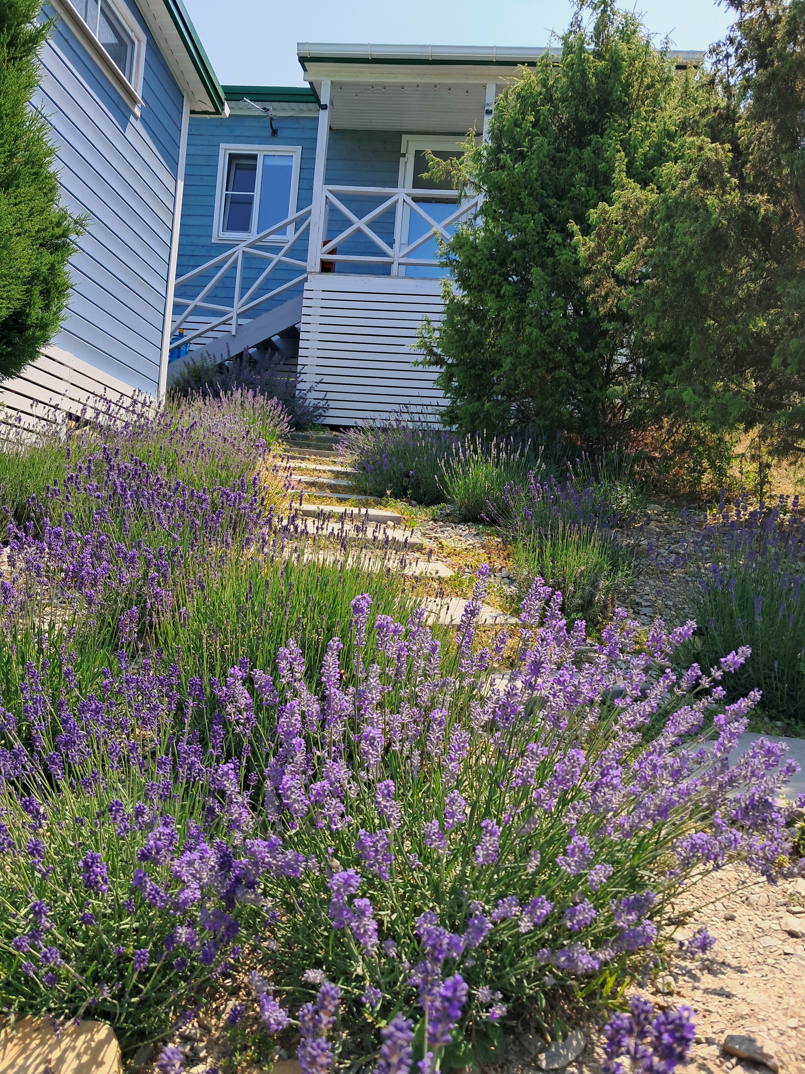 Коттедж с видом на горы