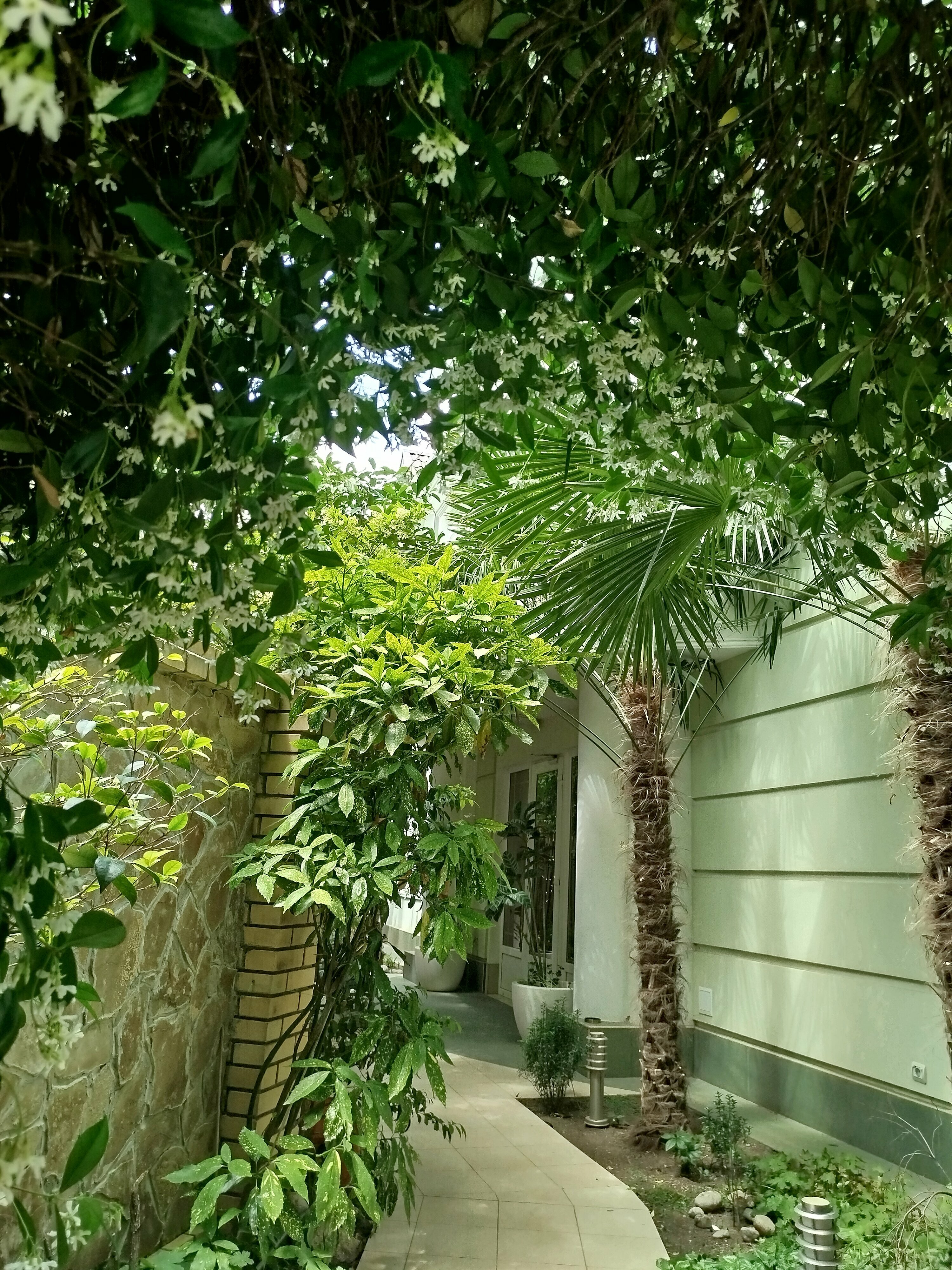 Двухместный номер с 1 кроватью и балконом