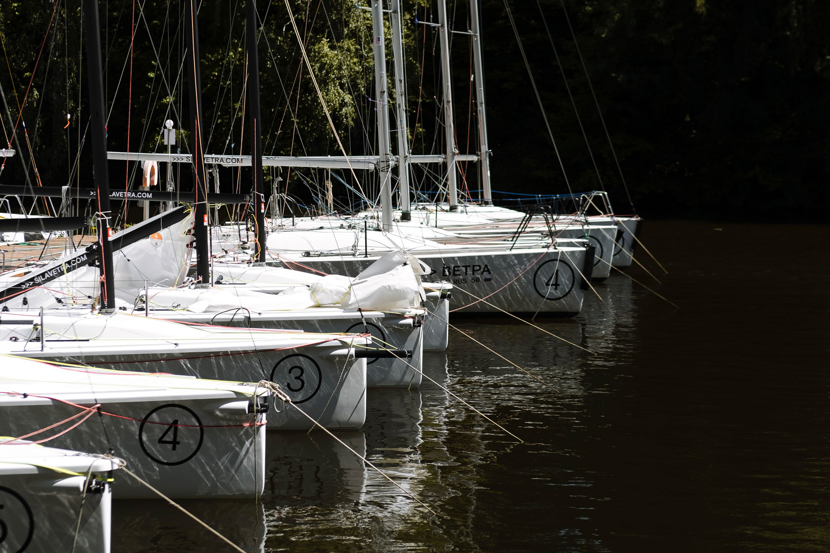 Двухместный номер с 1 кроватью и видом на парк