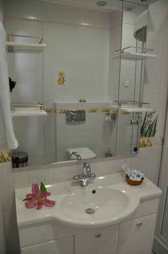 Двухместный номер с 1 кроватью