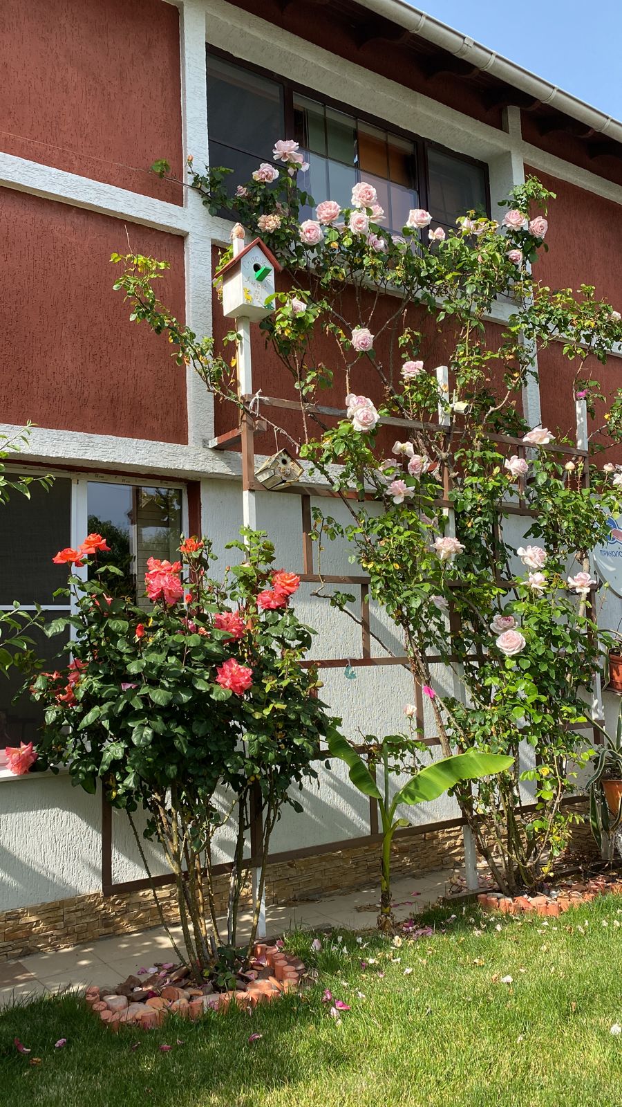 Трехместный номер с собственной ванной комнатой