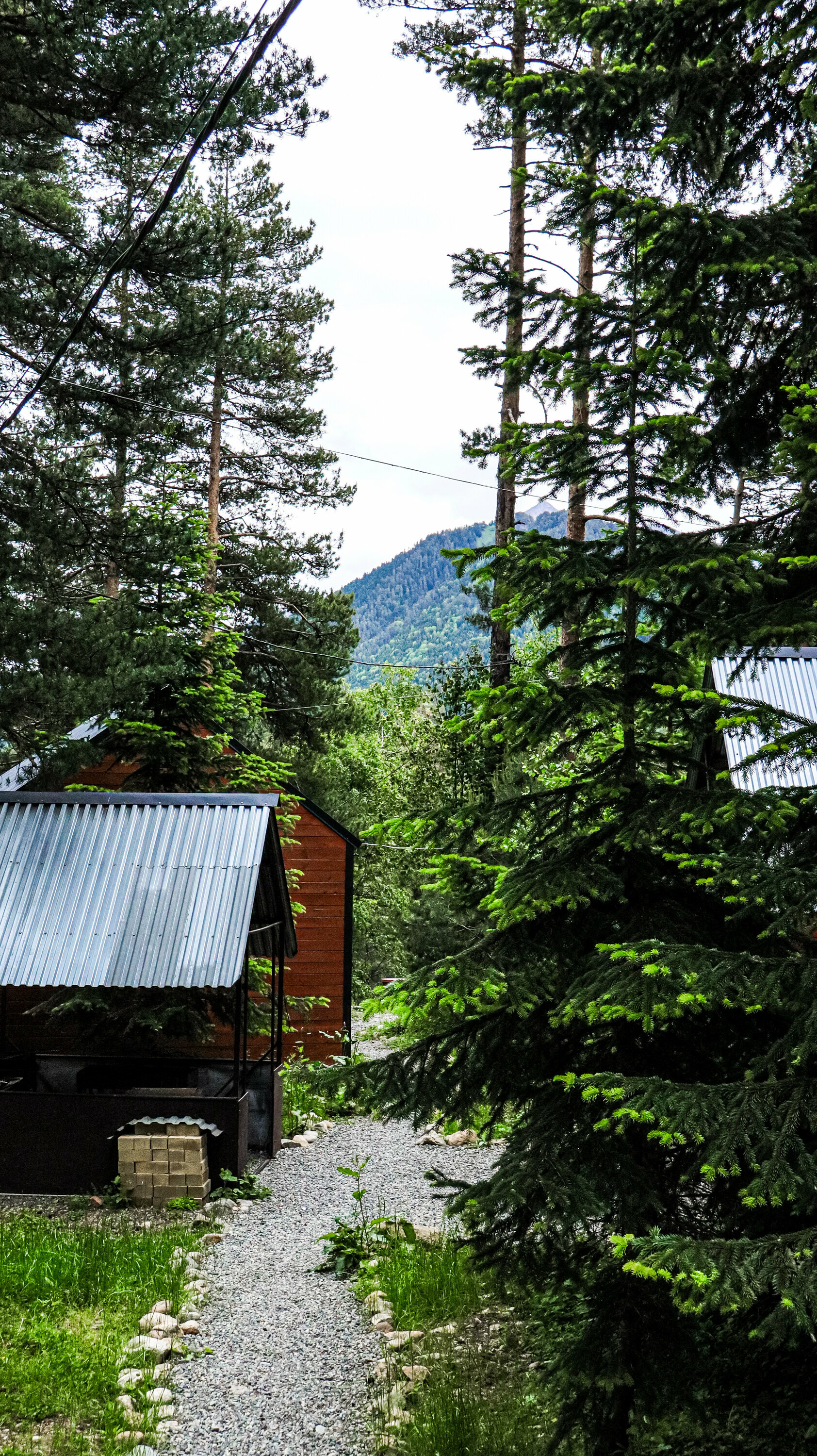Семейный номер с видом на горы