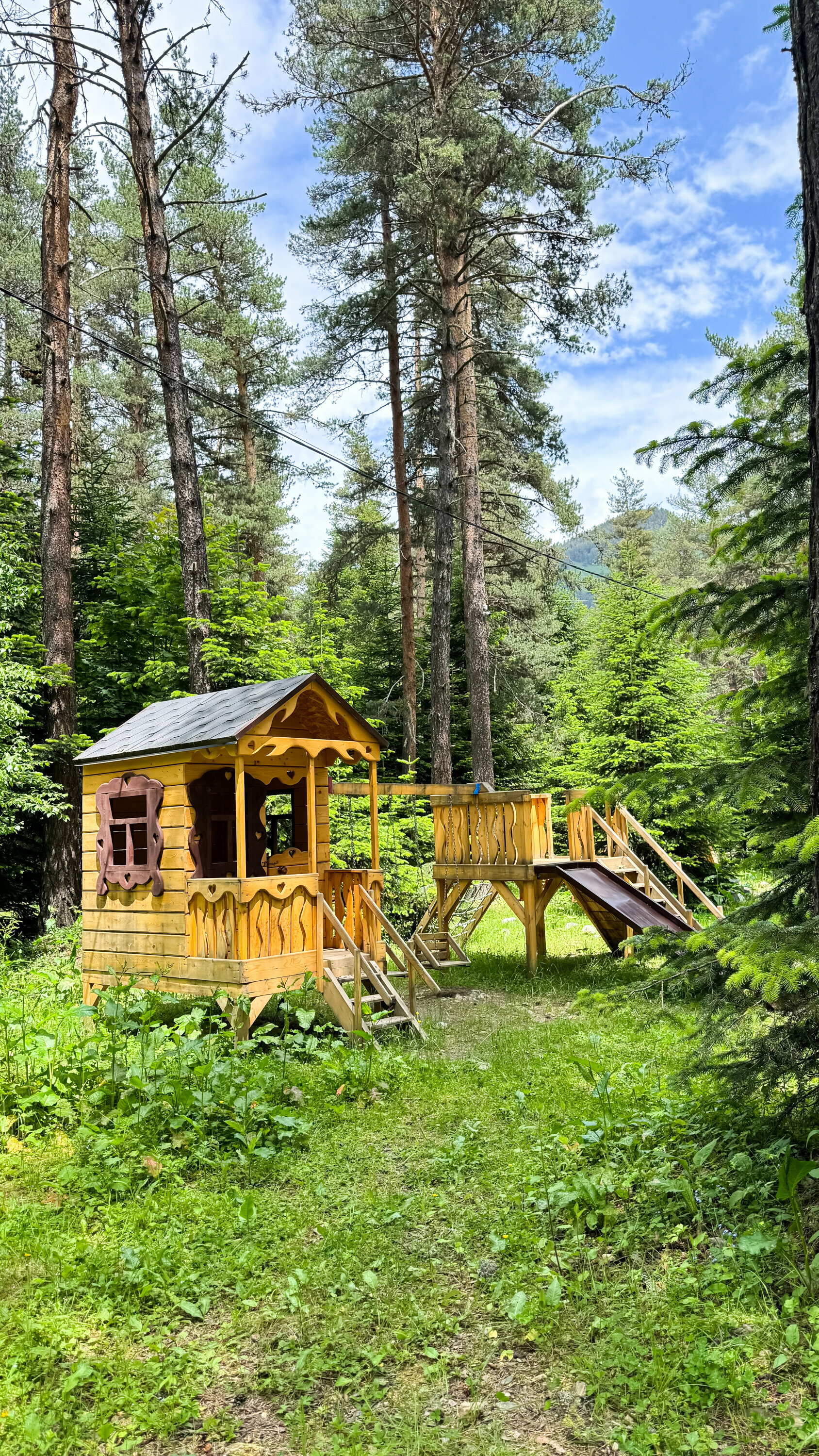 Коттедж с видом на лес