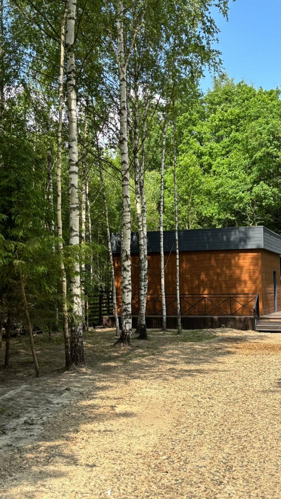 Дом с видом на лес