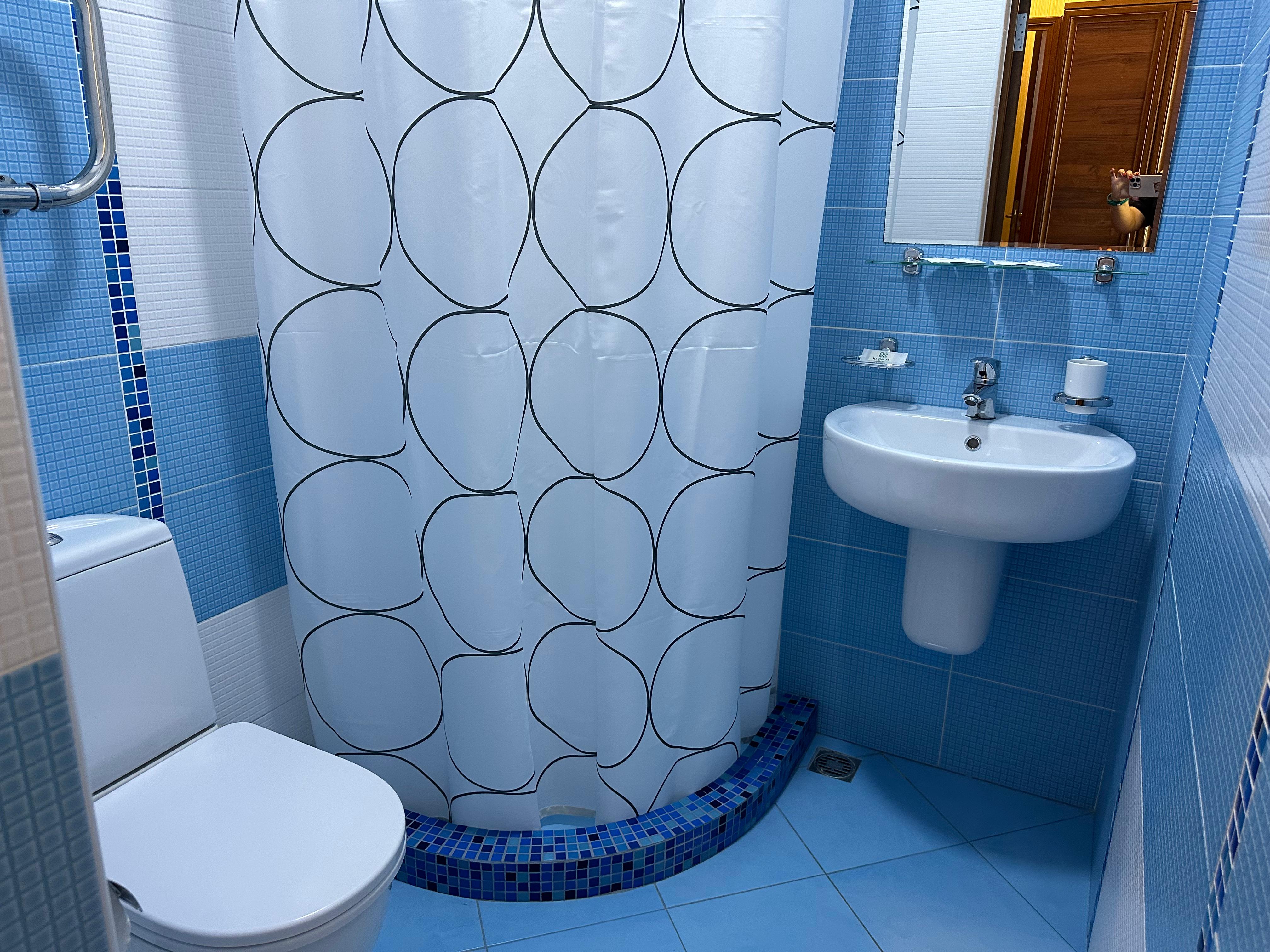 Двухместный номер с 1 кроватью и балконом