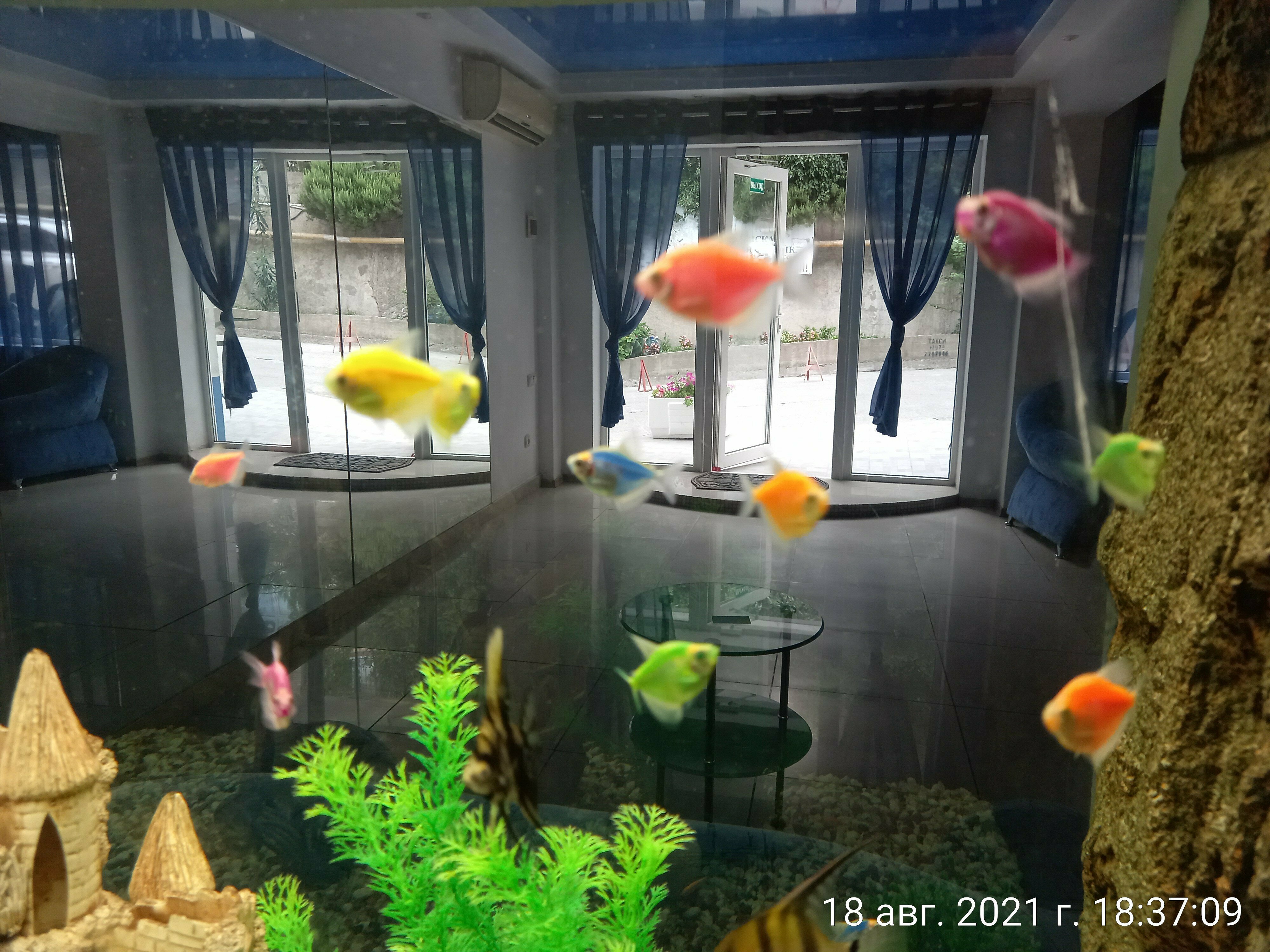 Двухместный номер с 1 кроватью и балконом, вид на море