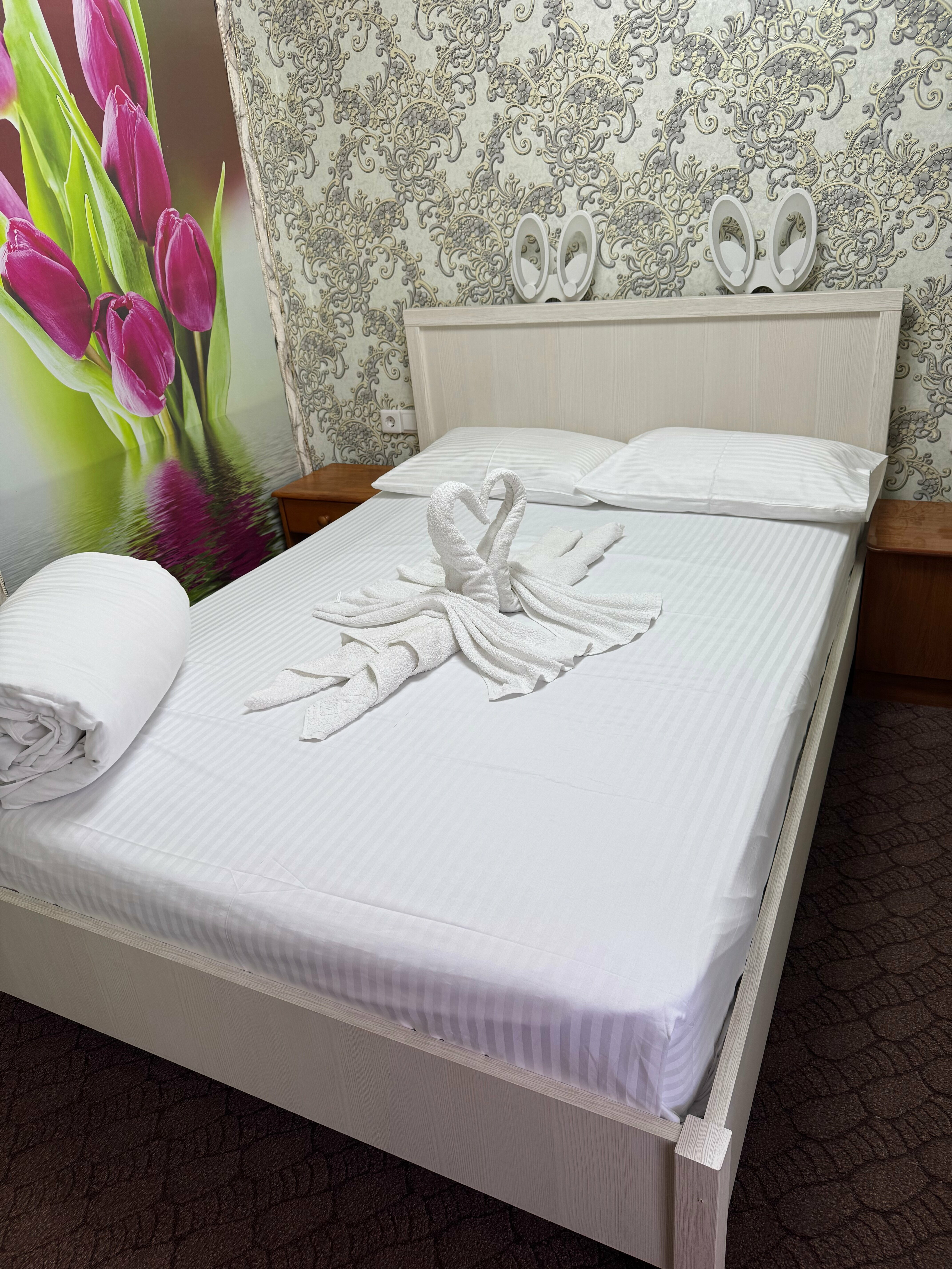 Двухместный номер Делюкс с 1 кроватью