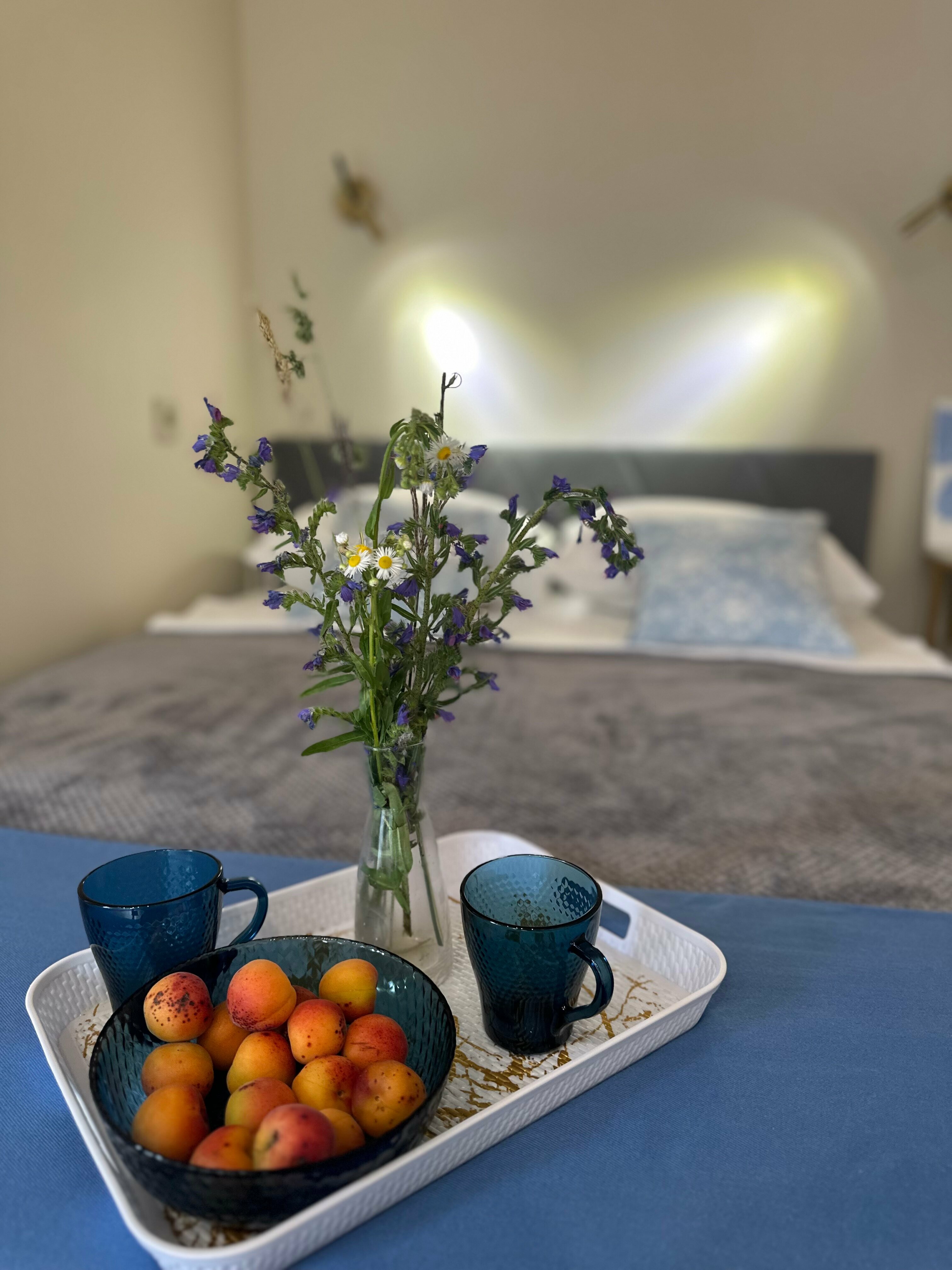 Семейный номер-студия