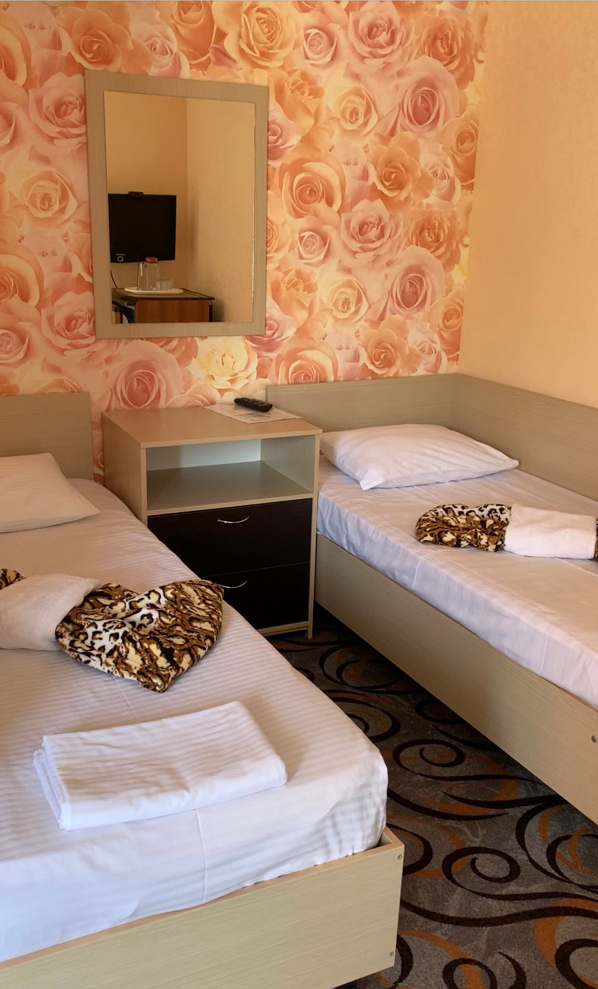 Двухместный номер с 2 отдельными кроватями и душем