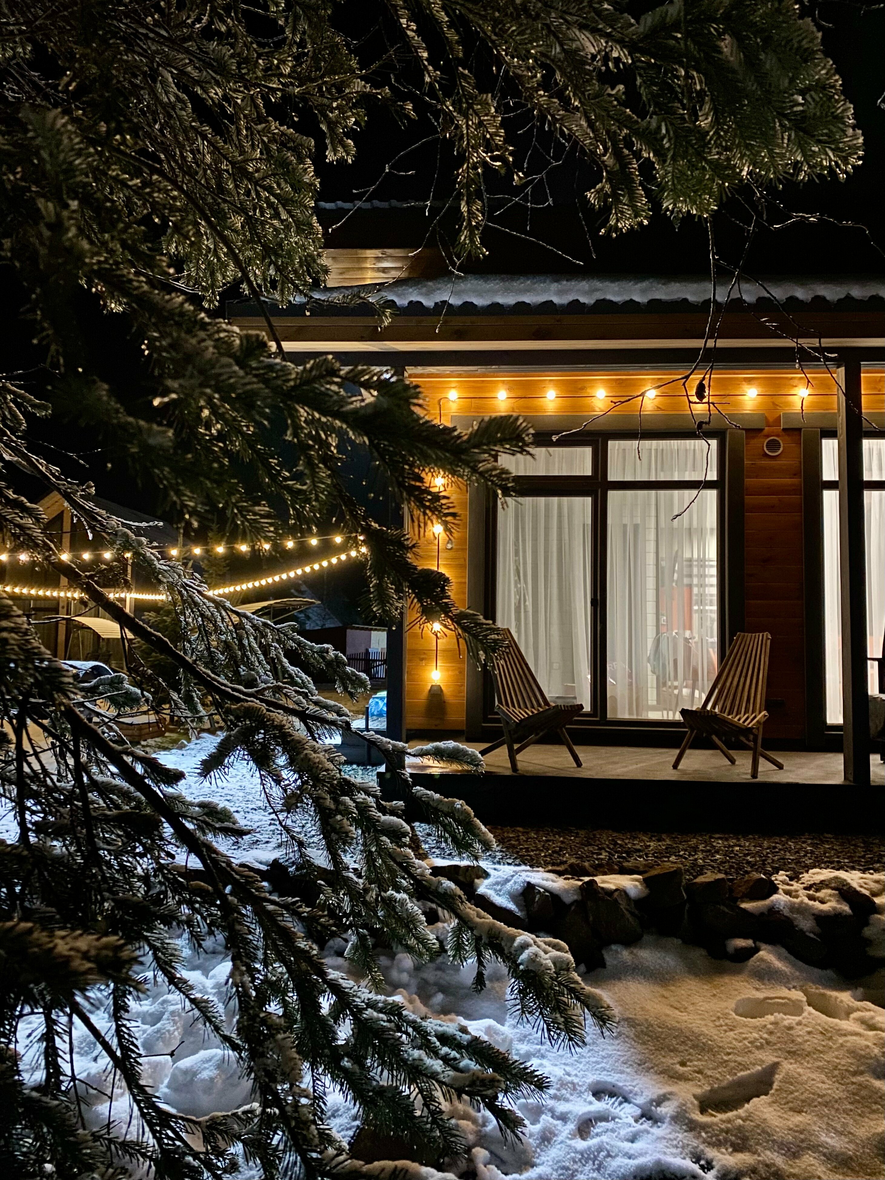 Дом с видом на лес