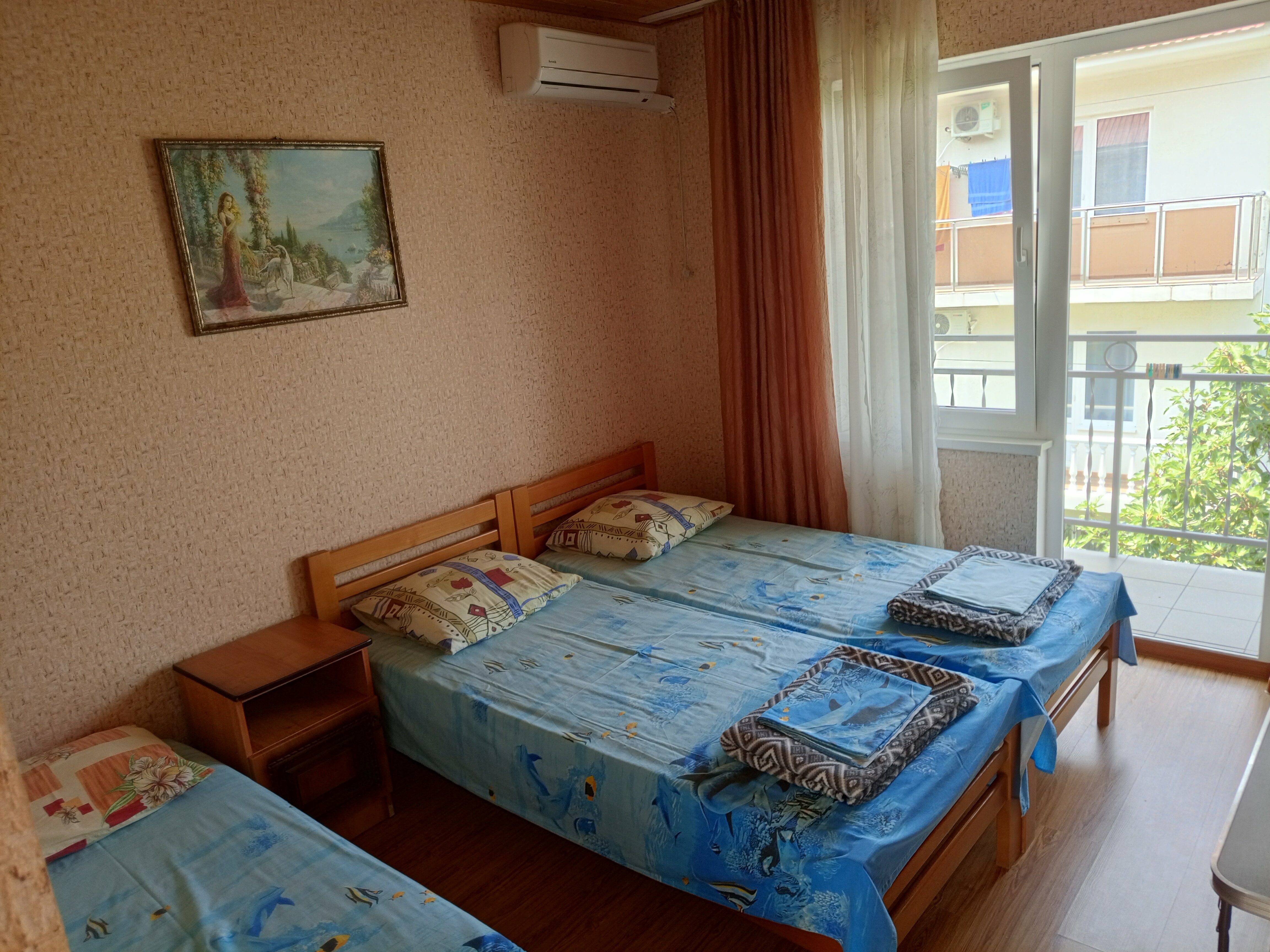 Двухместный номер с 2 отдельными кроватями и балконом