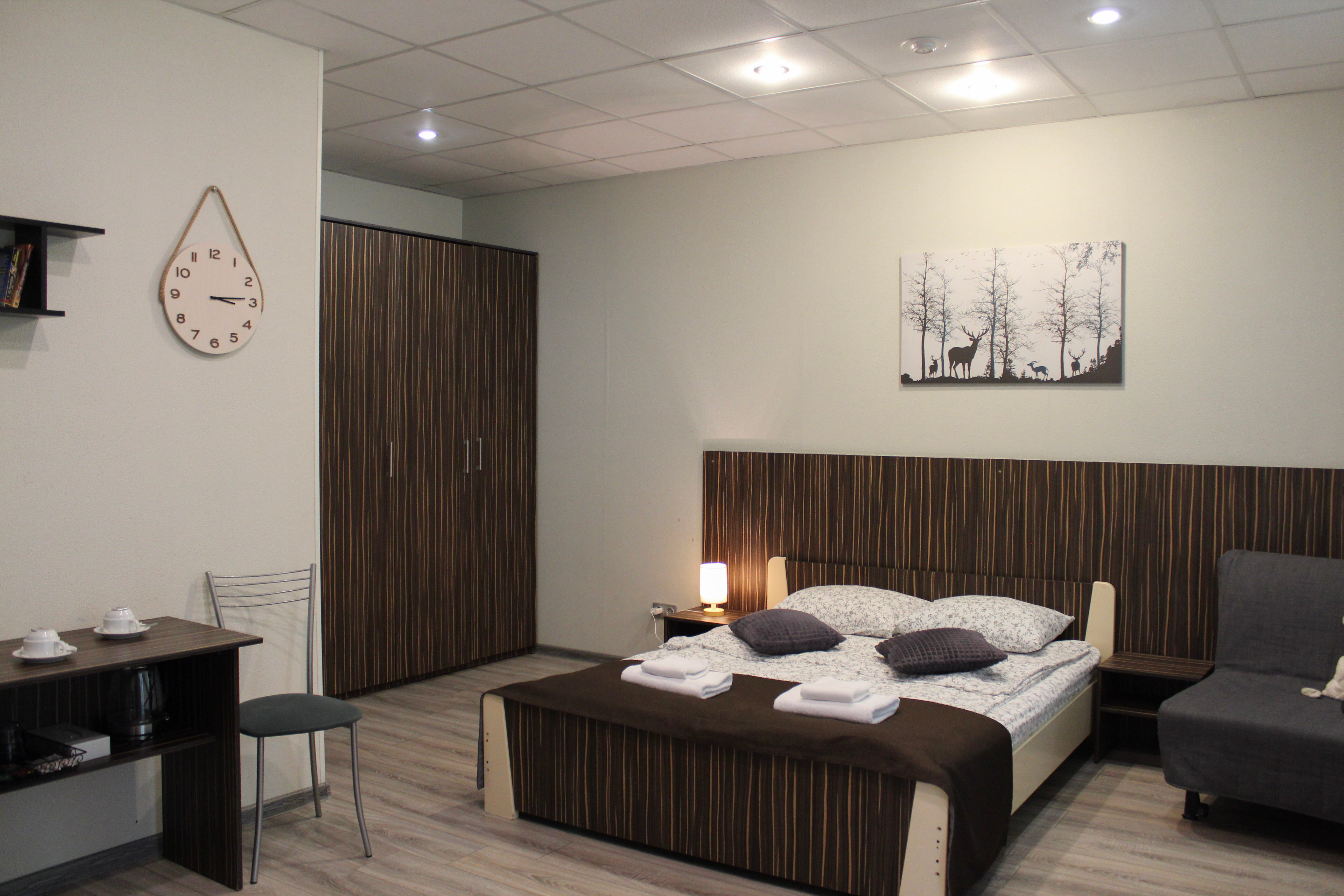 Двухместный номер с 1 кроватью и балконом