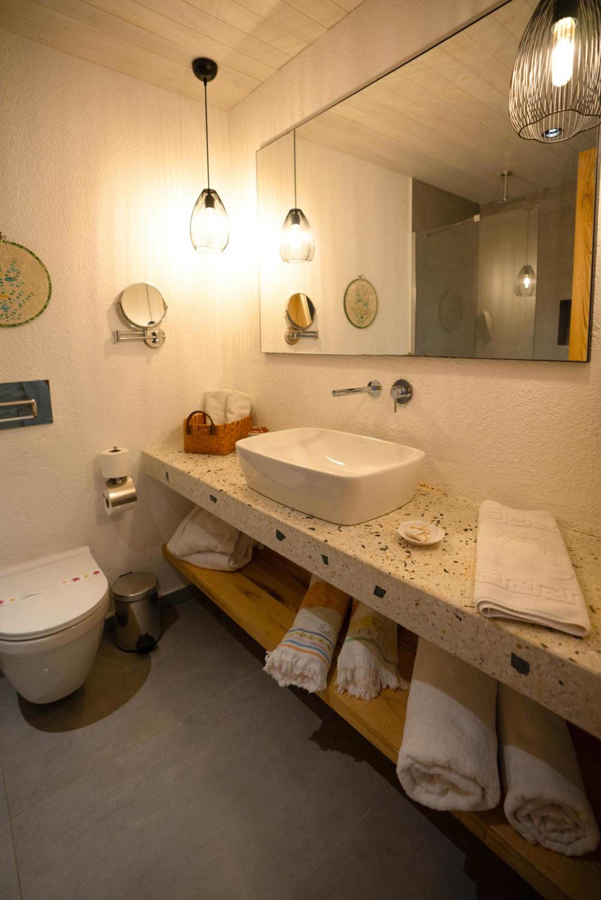 Double Room with Swimming Pool Access