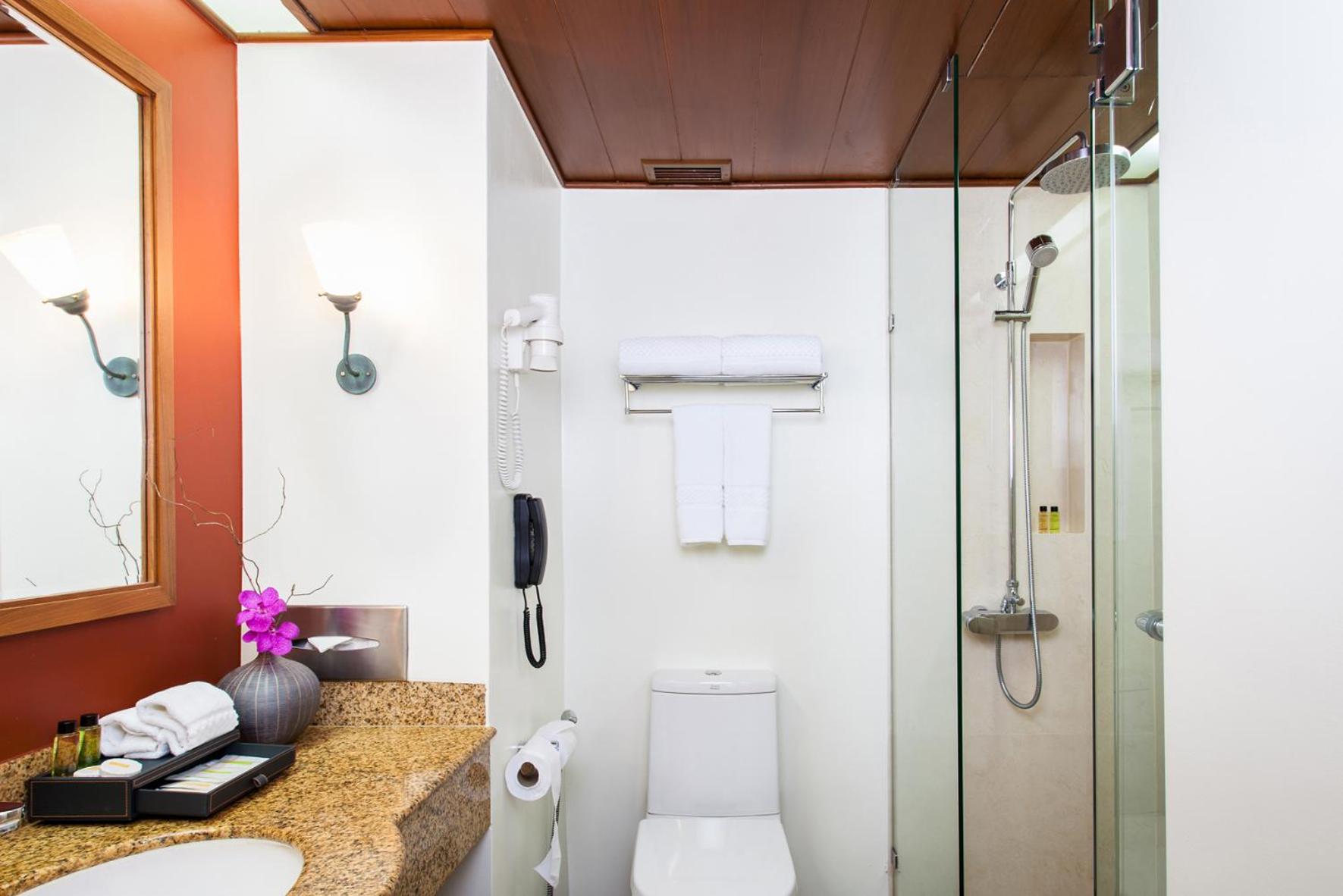 Deluxe King Room with City View